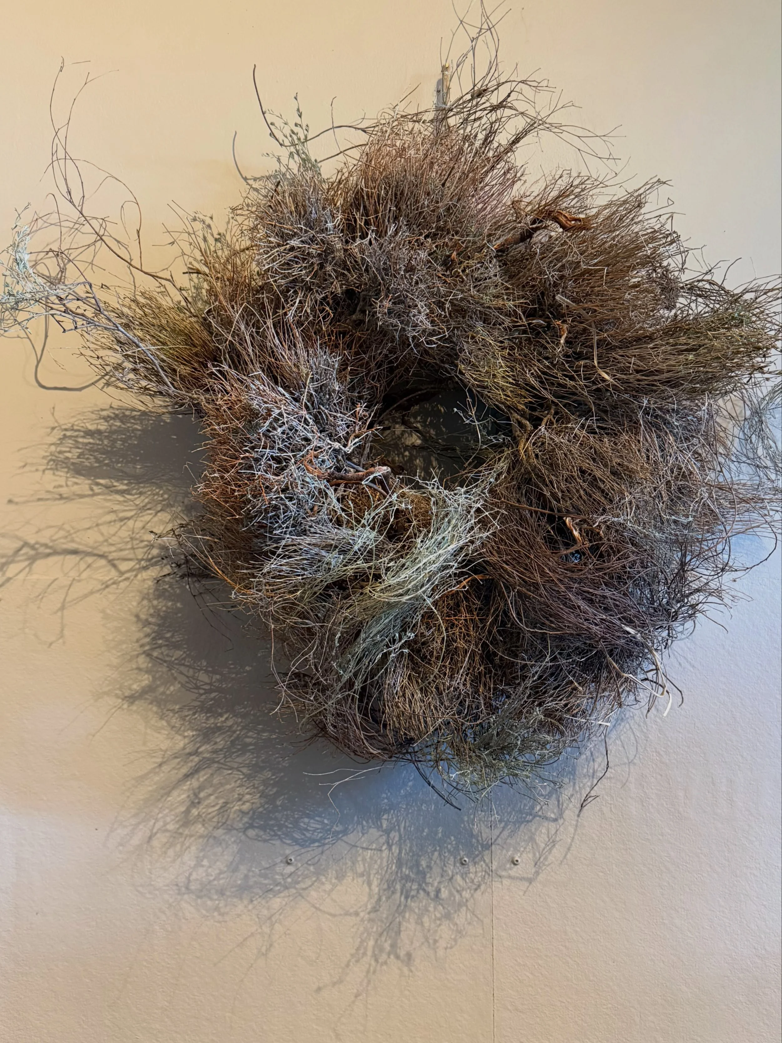 Dry Thyme wreaths. X