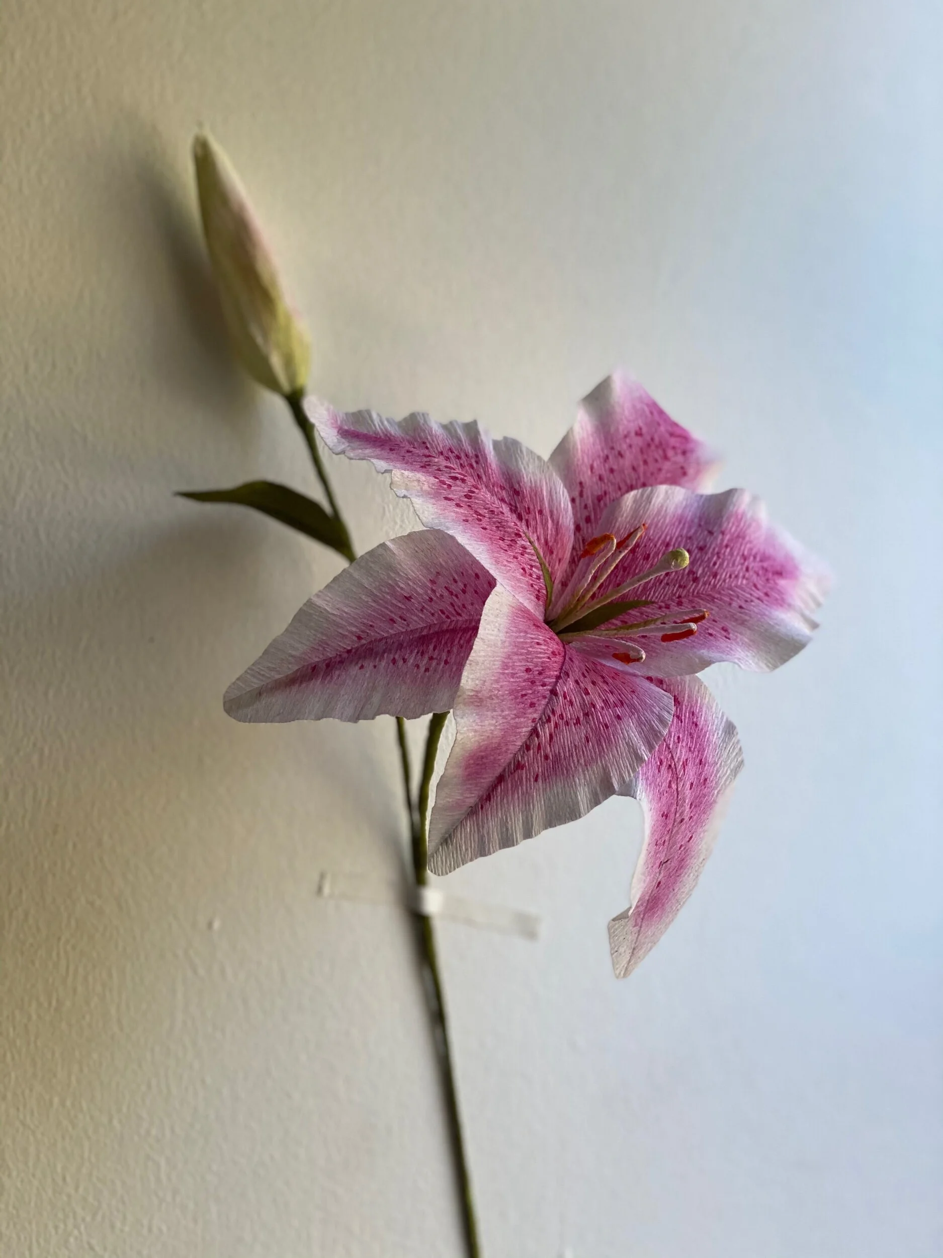 A51E9C46-F882-4027-90F7-FE379FAC5275