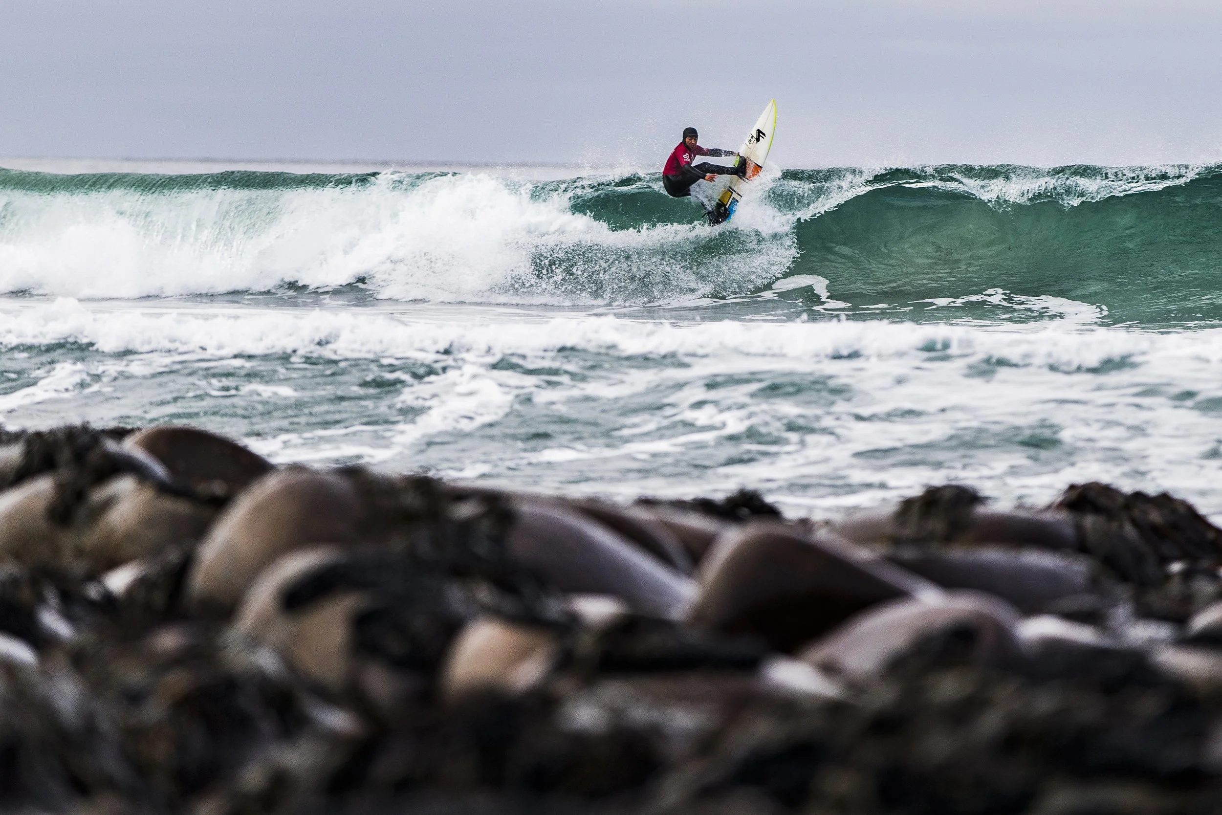 2022 Surf For Site 007.JPG
