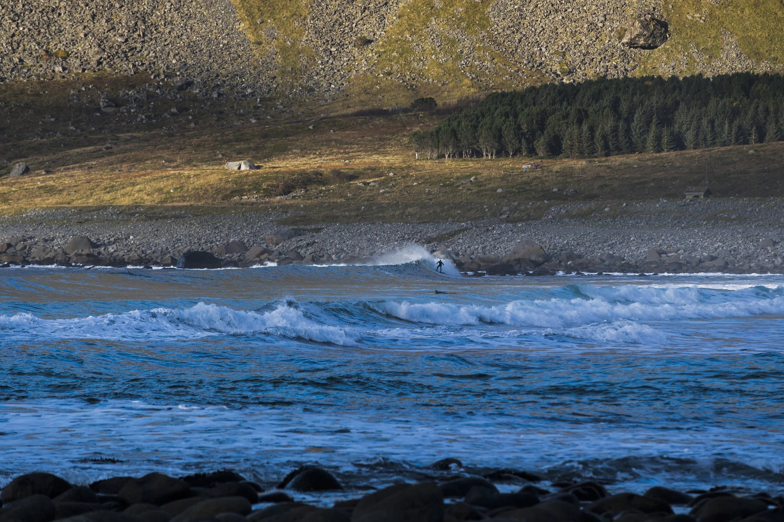 2022 Surf For Site 008.JPG
