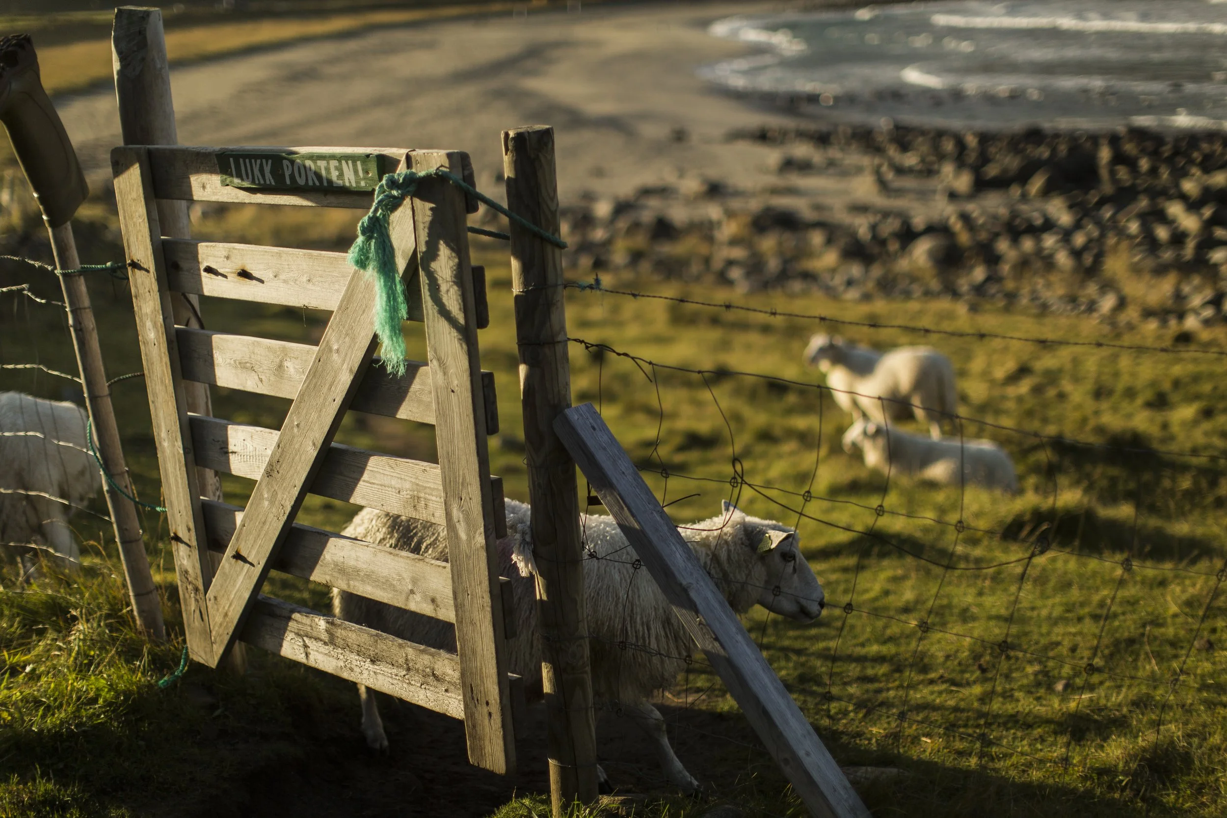 2022 Surf For Site 012.JPG