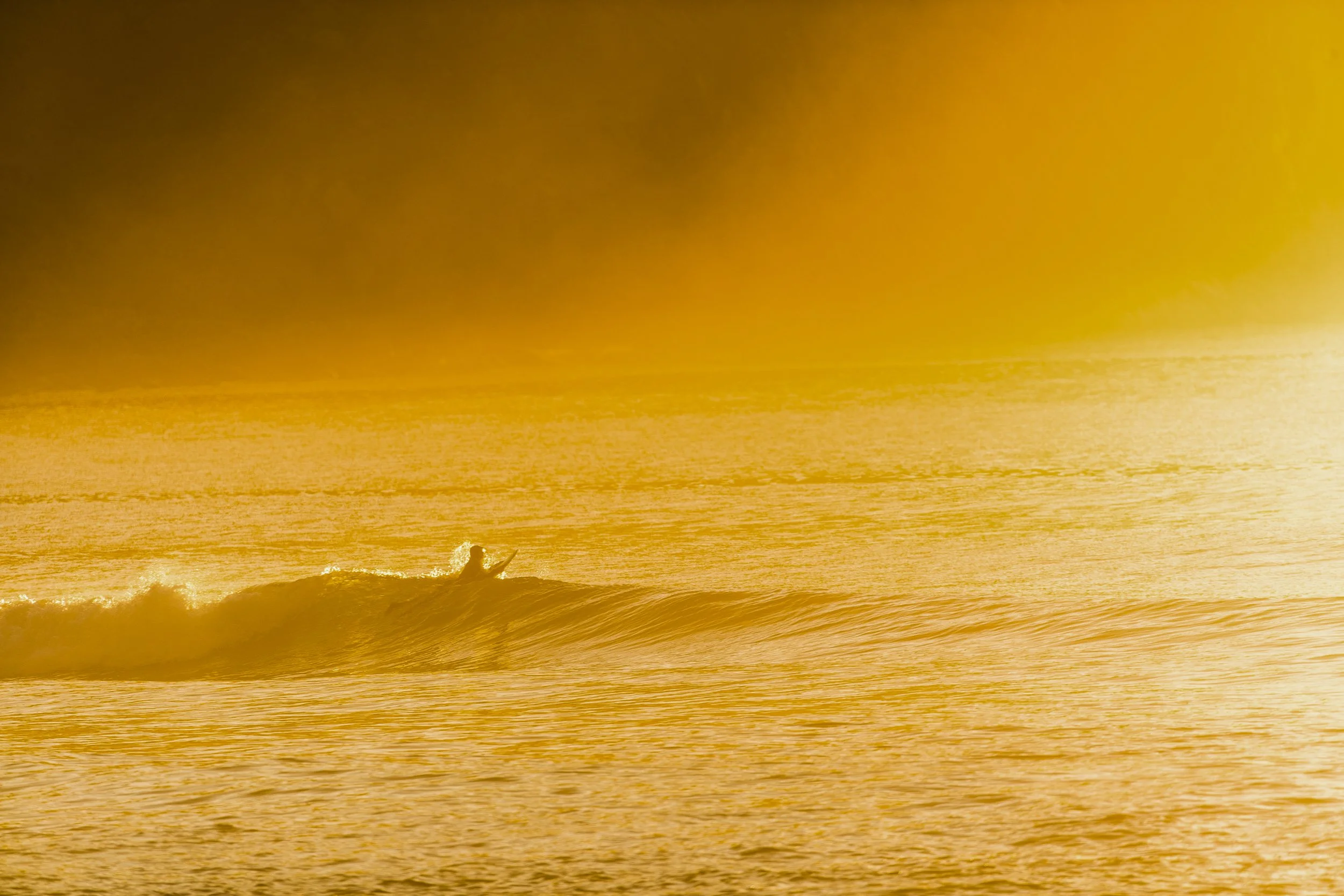 2022 Surf For Site 029.JPG