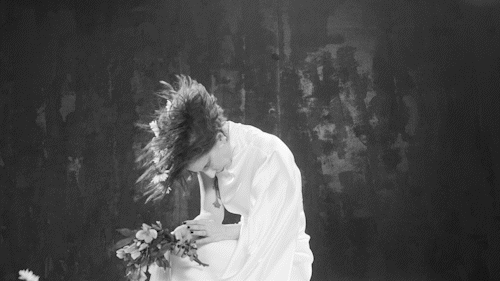 FLOWERS final.gif
