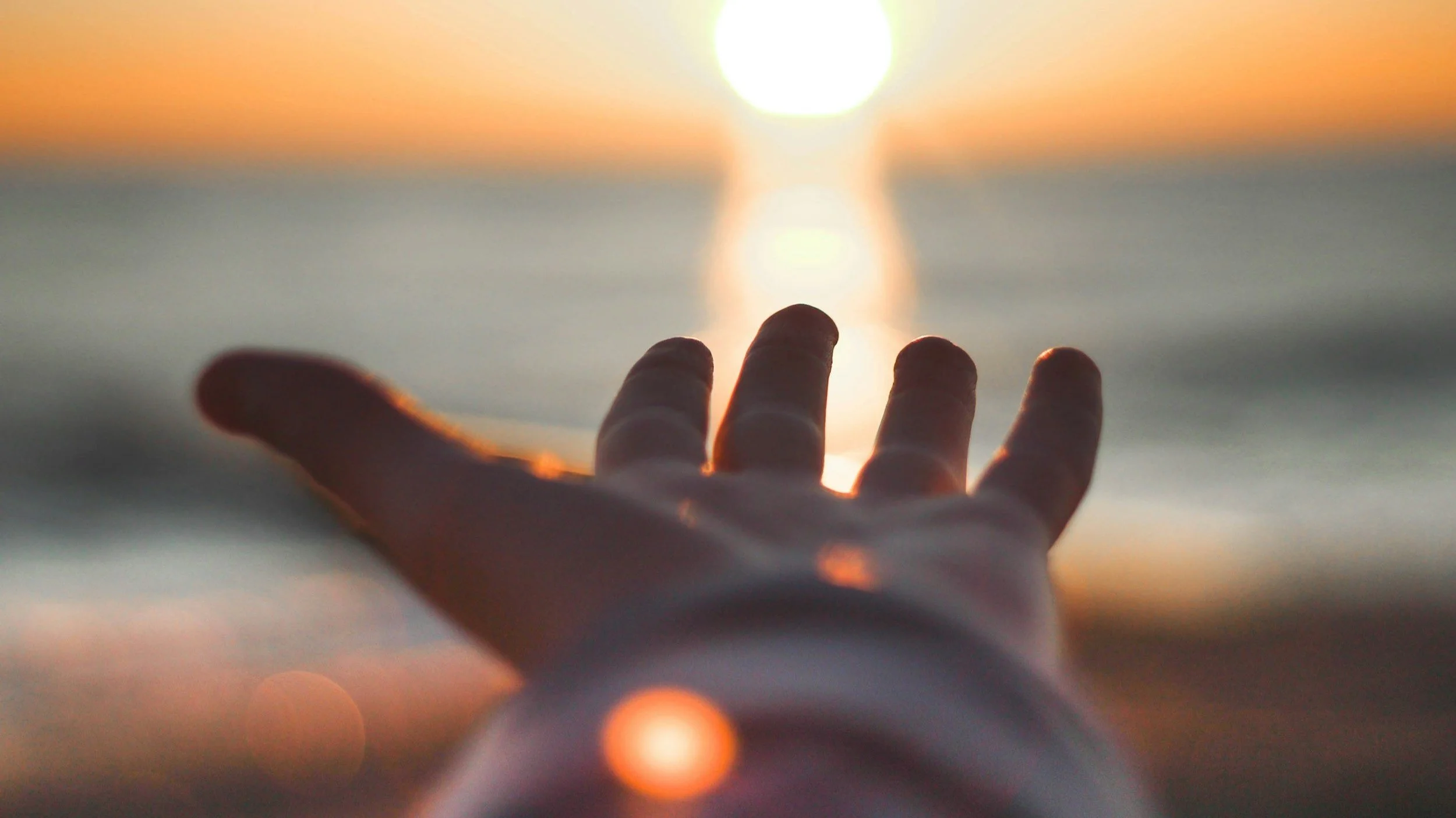 Exploring the Impact of Vitamin D Deficiency on Autism Spectrum Disorder