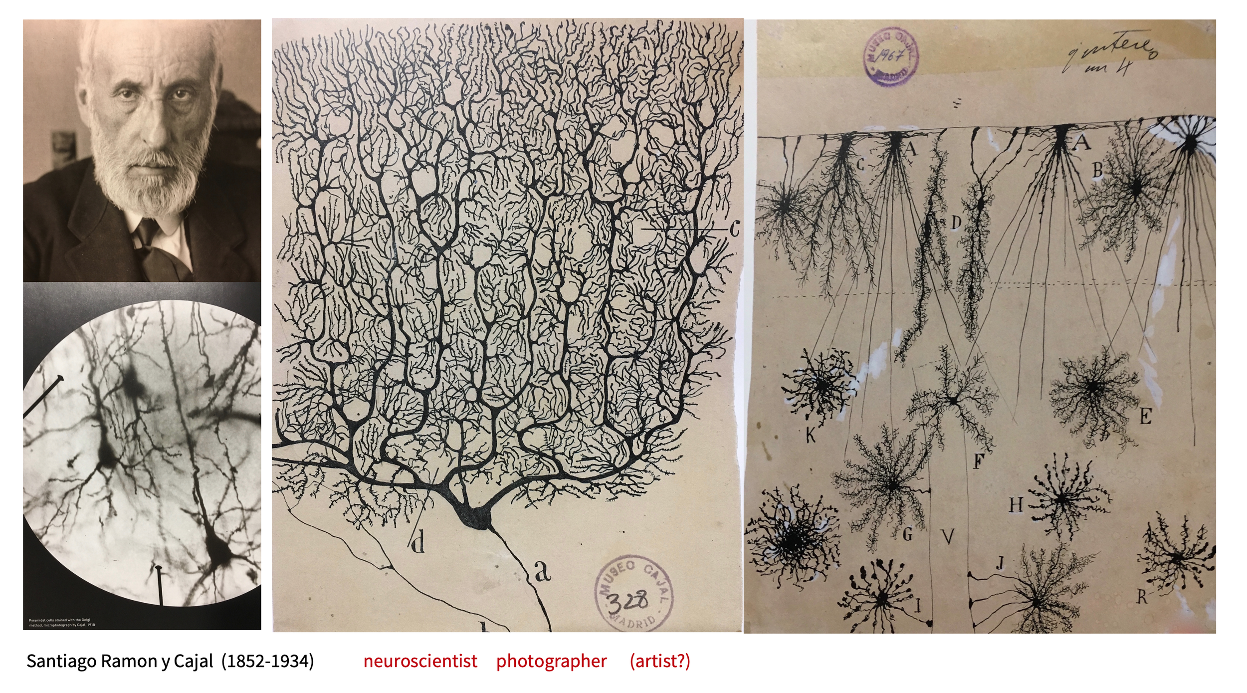 Screenshot 2025-06-20 at 02.05.50.png