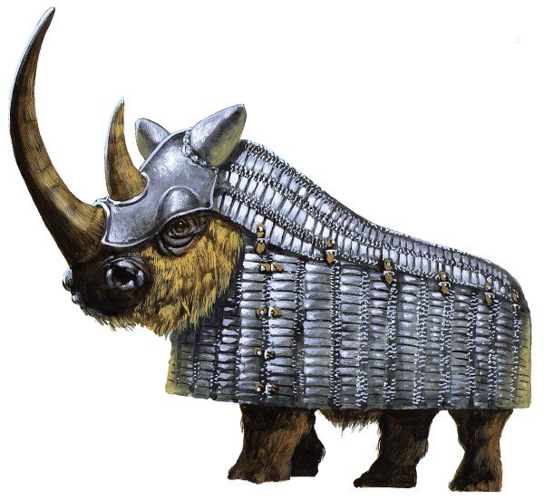 Wooly Rhino