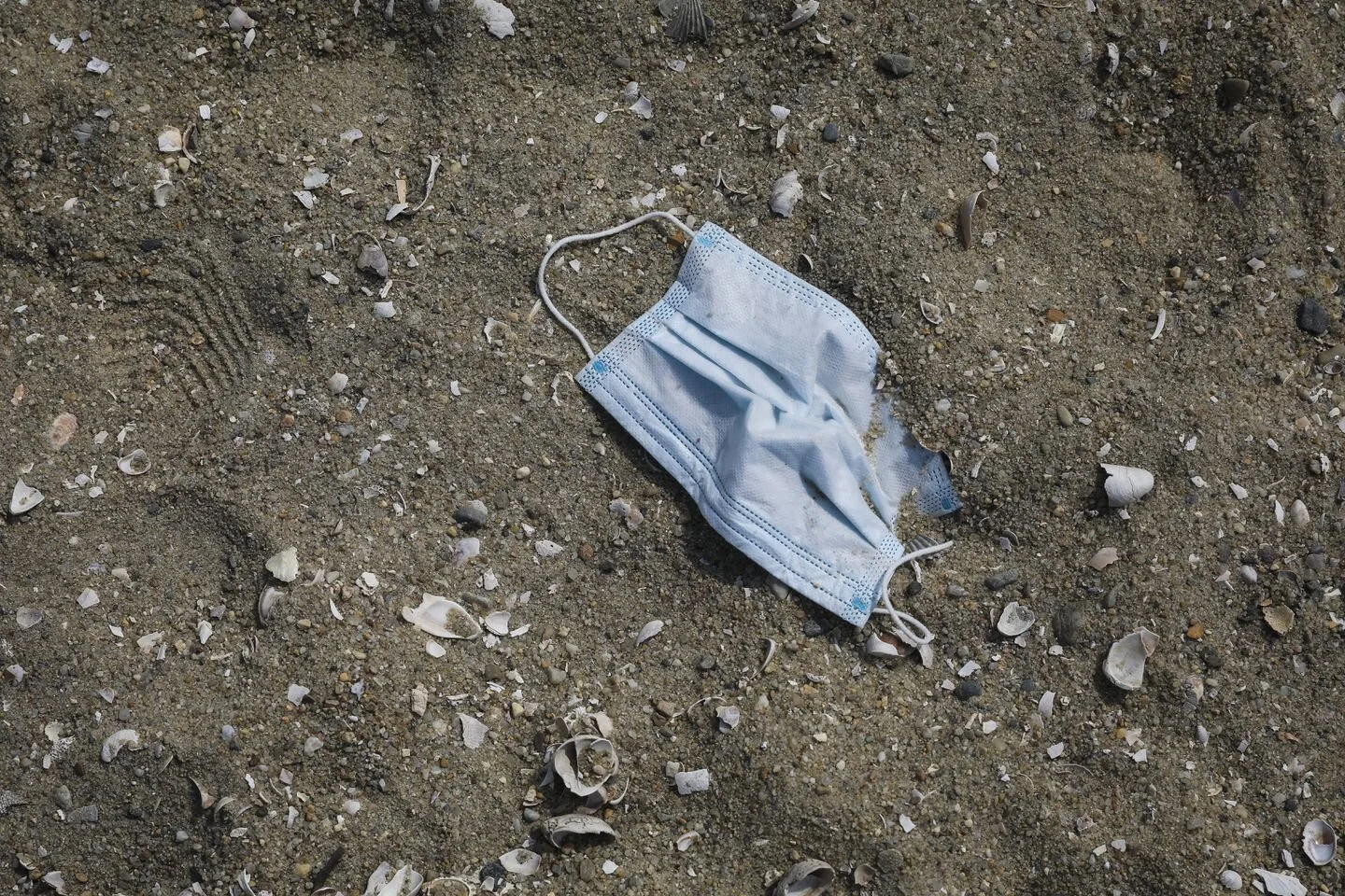 Where Dreams Go to Slowly Die: School of Art Lowers Graduation Requirements Due to Derivative Capstone Submissions