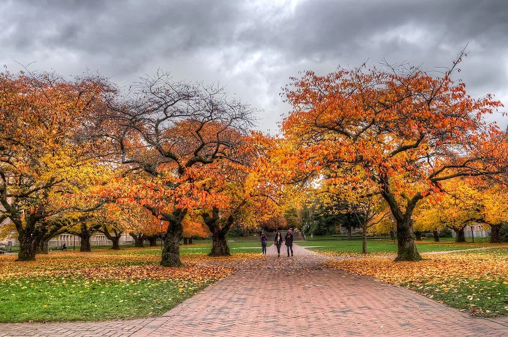 Fall 2021 Deemed “Super Regular Quarter”