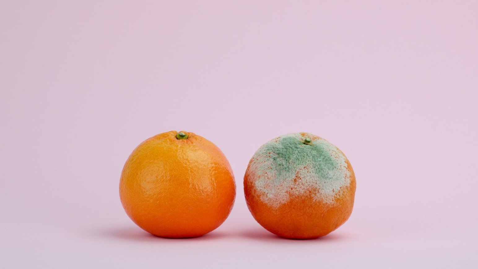 Center Table Declares Moldy Fruit a "Delicacy"