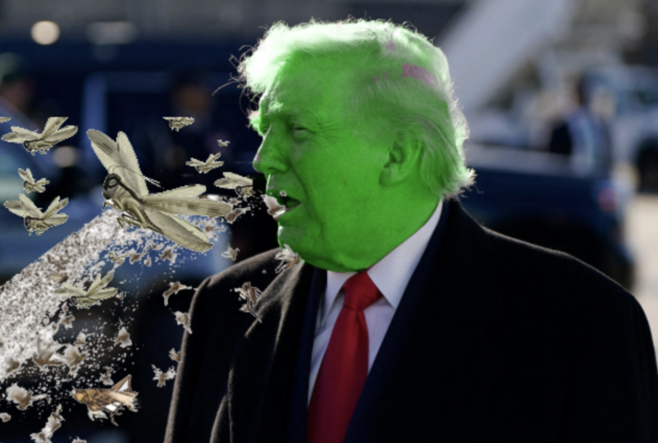 “Don’t Worry About It” Says White House After Trump Vomits Swarm of Locusts During Presidents Day Speech