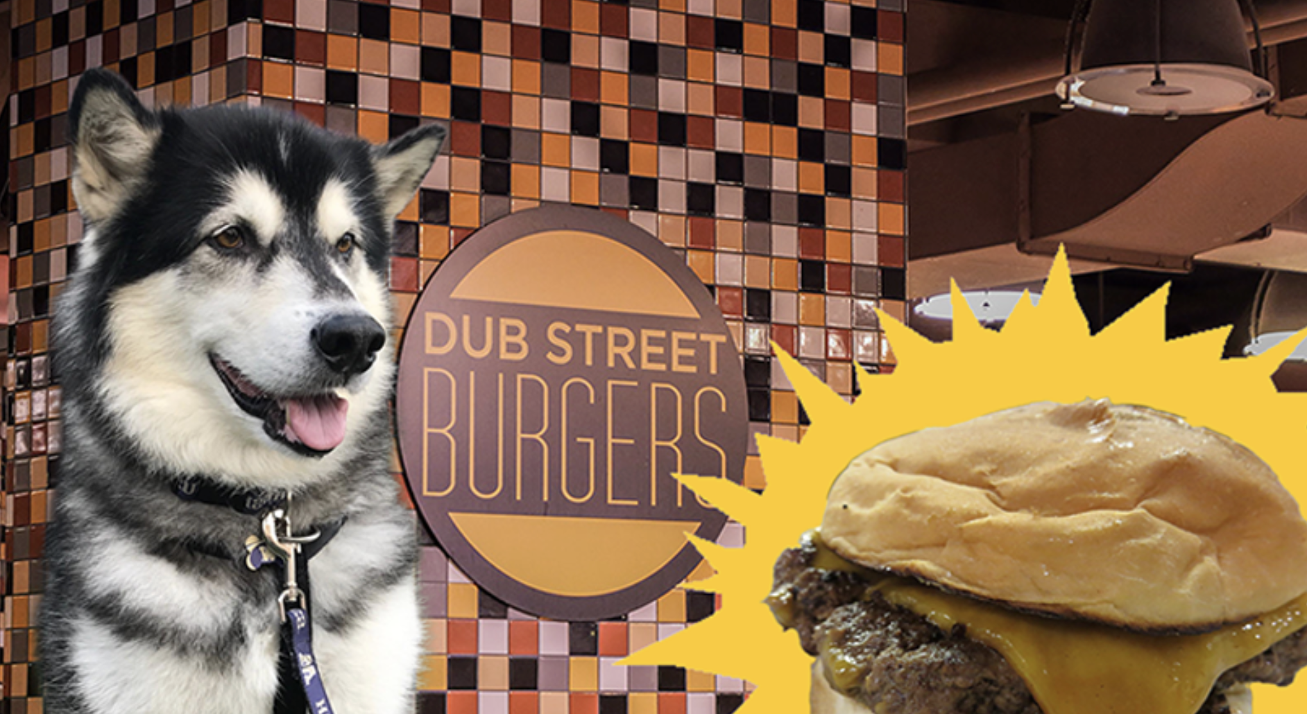 Mass Recall Issued: DUB Street Burgers’ DUB Sauce Revealed to be Dubs’ Drool