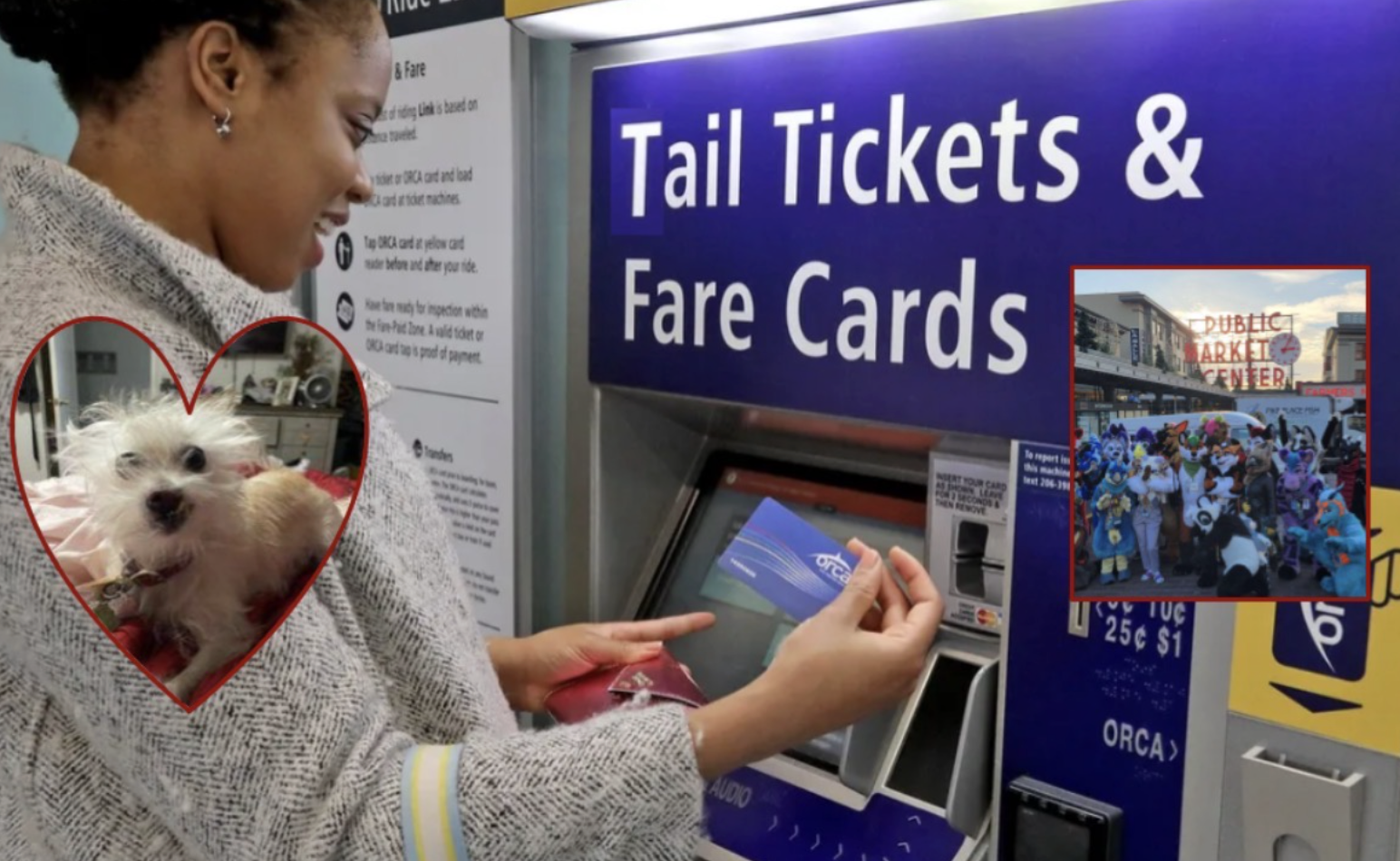 Your Dog Needs an Orca Card