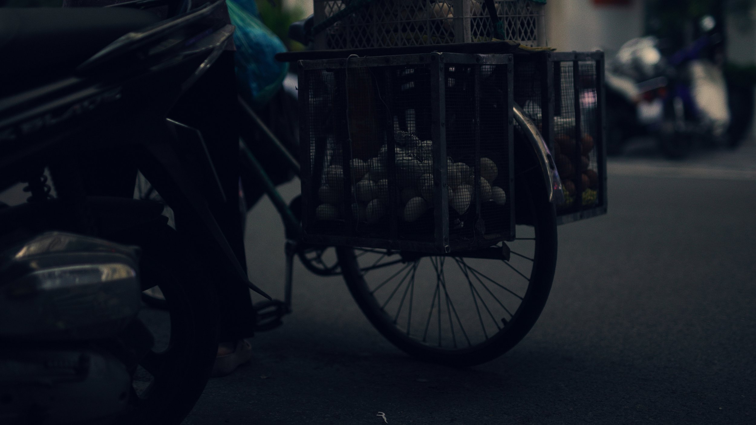 Untitled_1.19.1.jpg
