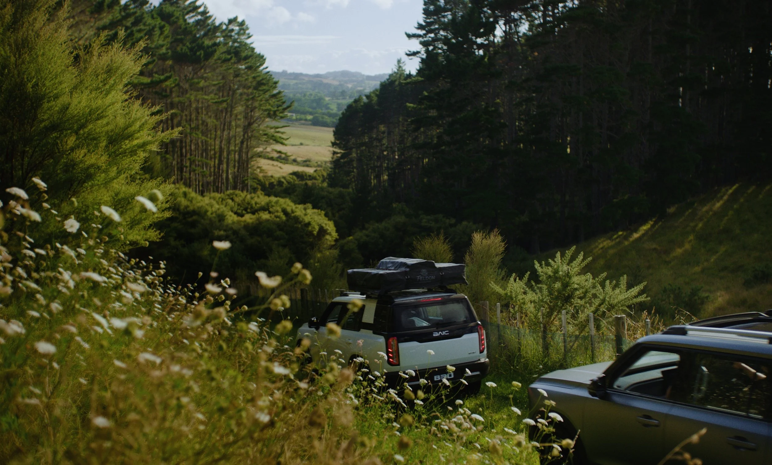 Still 2026-02-25 124454_4.3.2.jpg