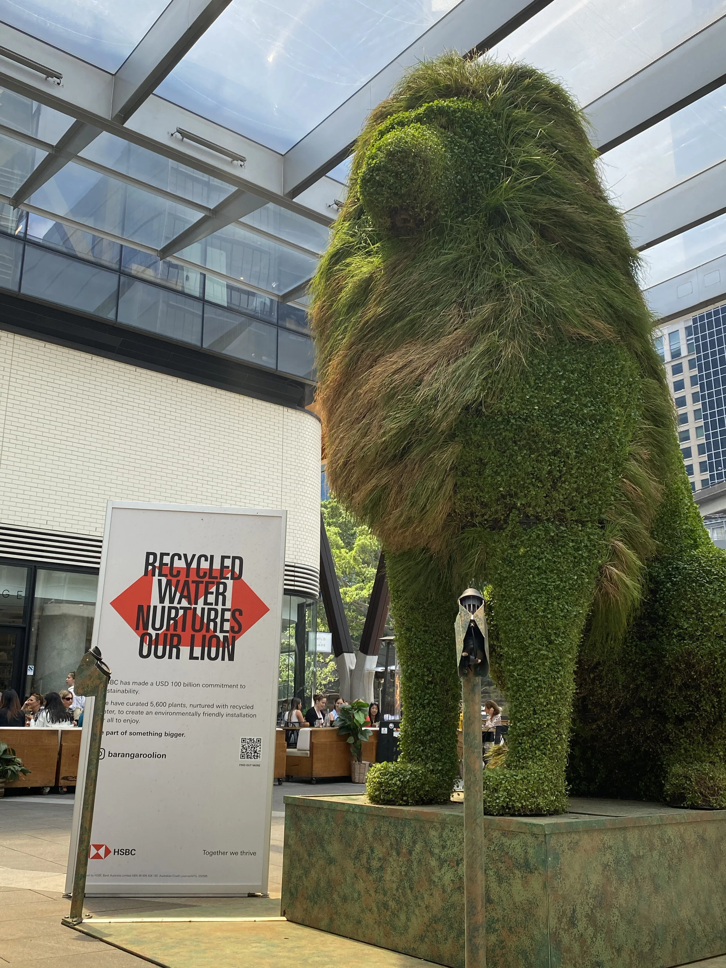 Letting a Lion loose in Barangaroo