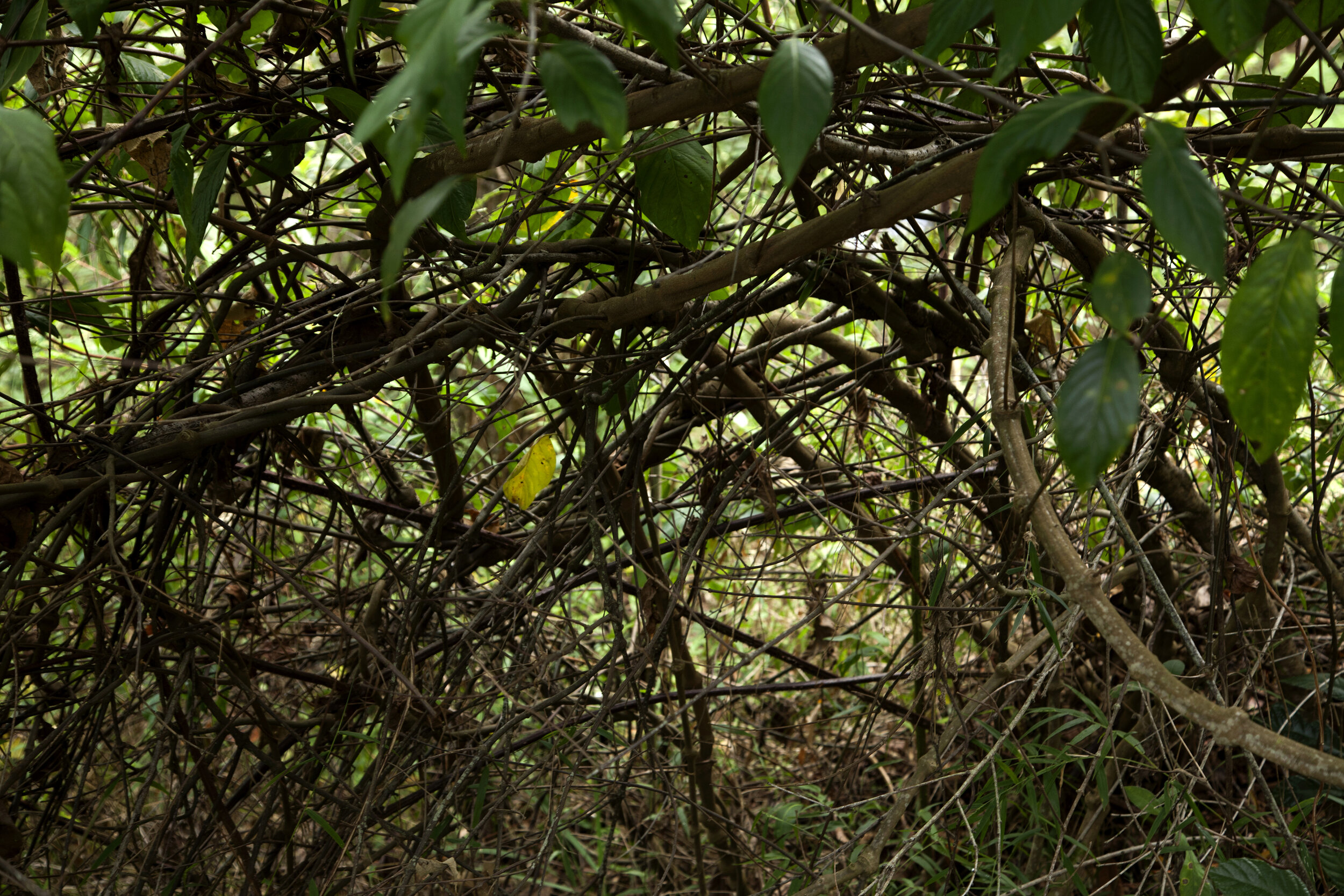 Religare 8 | fotografia | 30 x 45 cm | 2014
