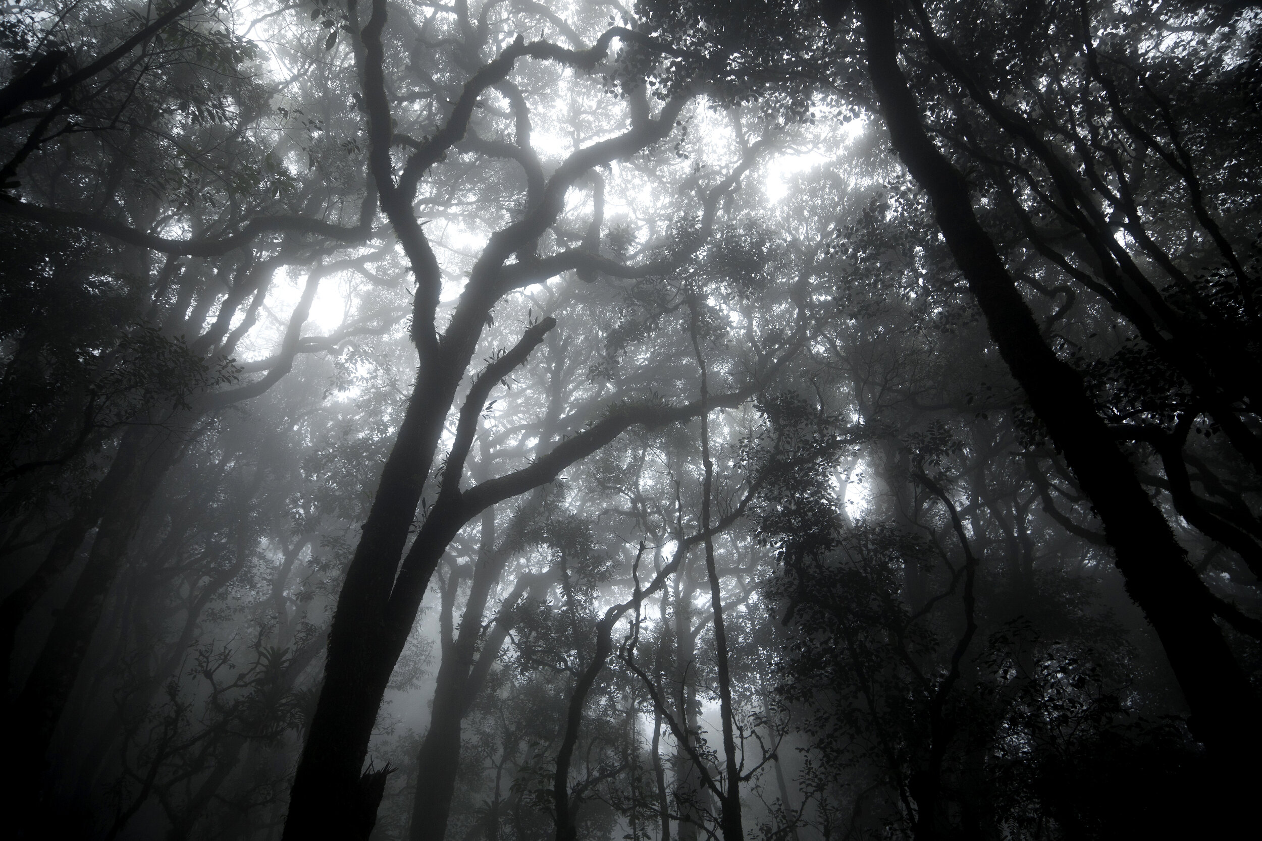 Religare 27 | fotografia | 30 x 45 cm | 2014