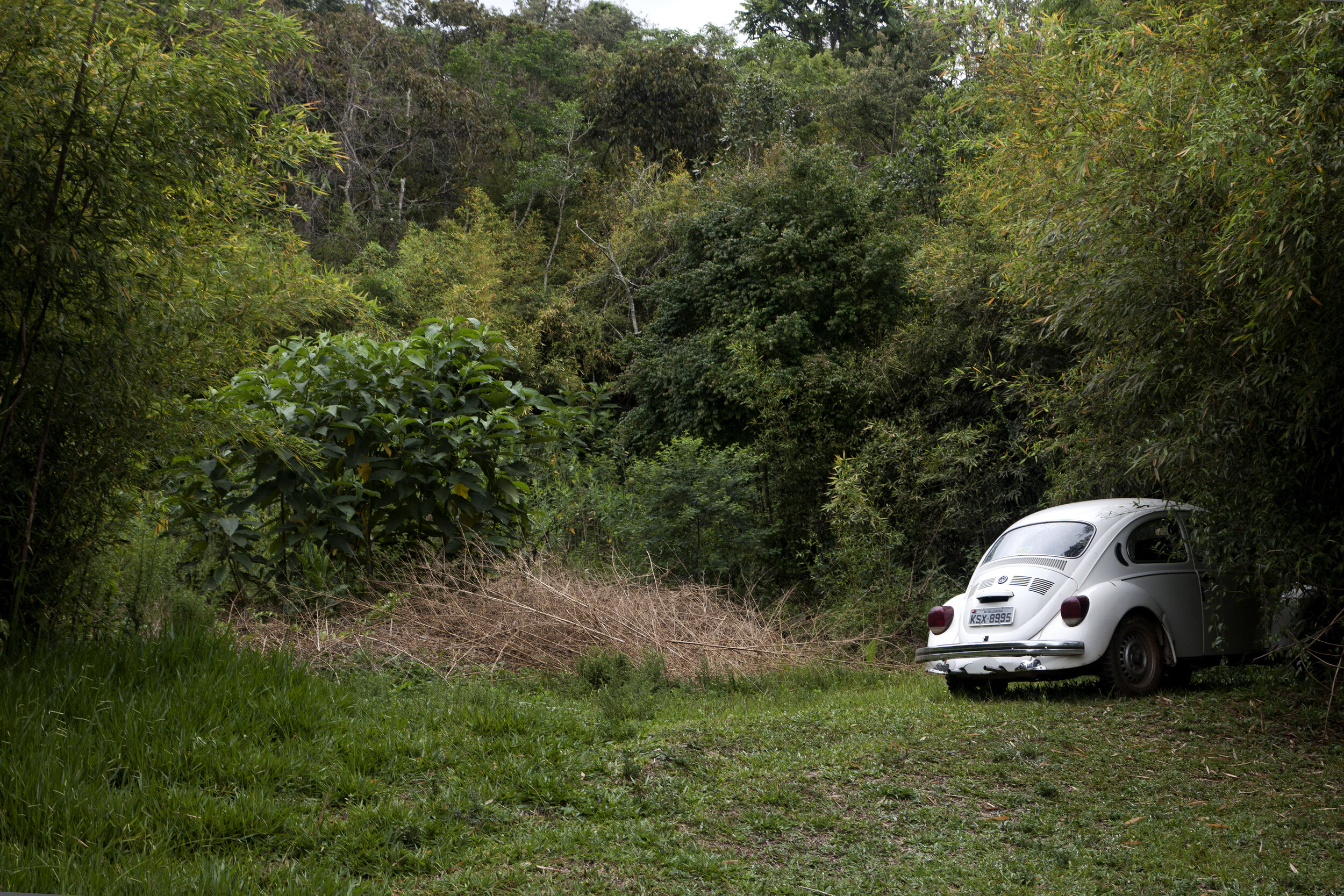 Religare 33 | fotografia | 30 x 45 cm | 2014