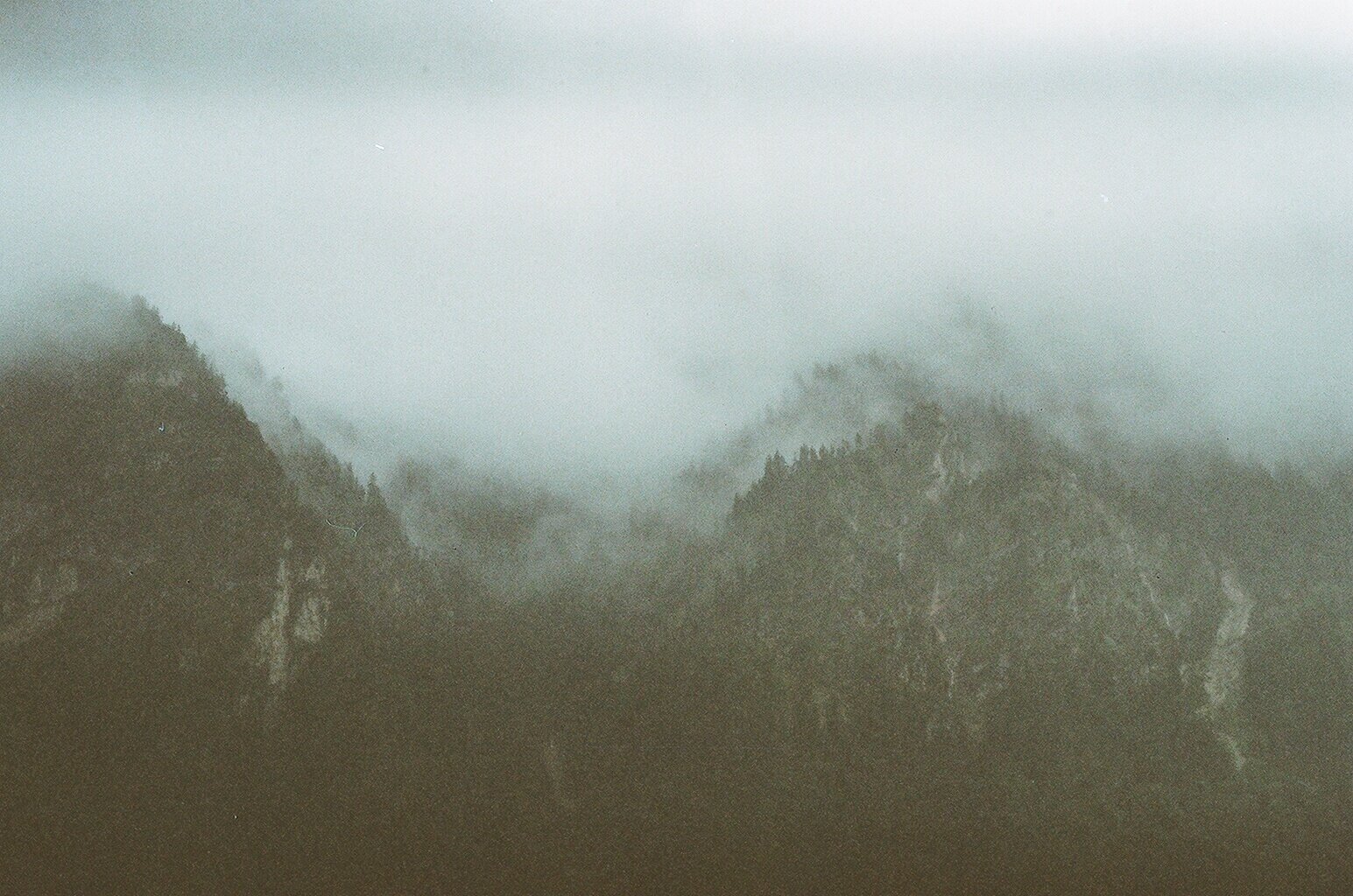 E9EAFA17-2D0B-4C7E-99A6-F6CF41E0E7B1.jpeg