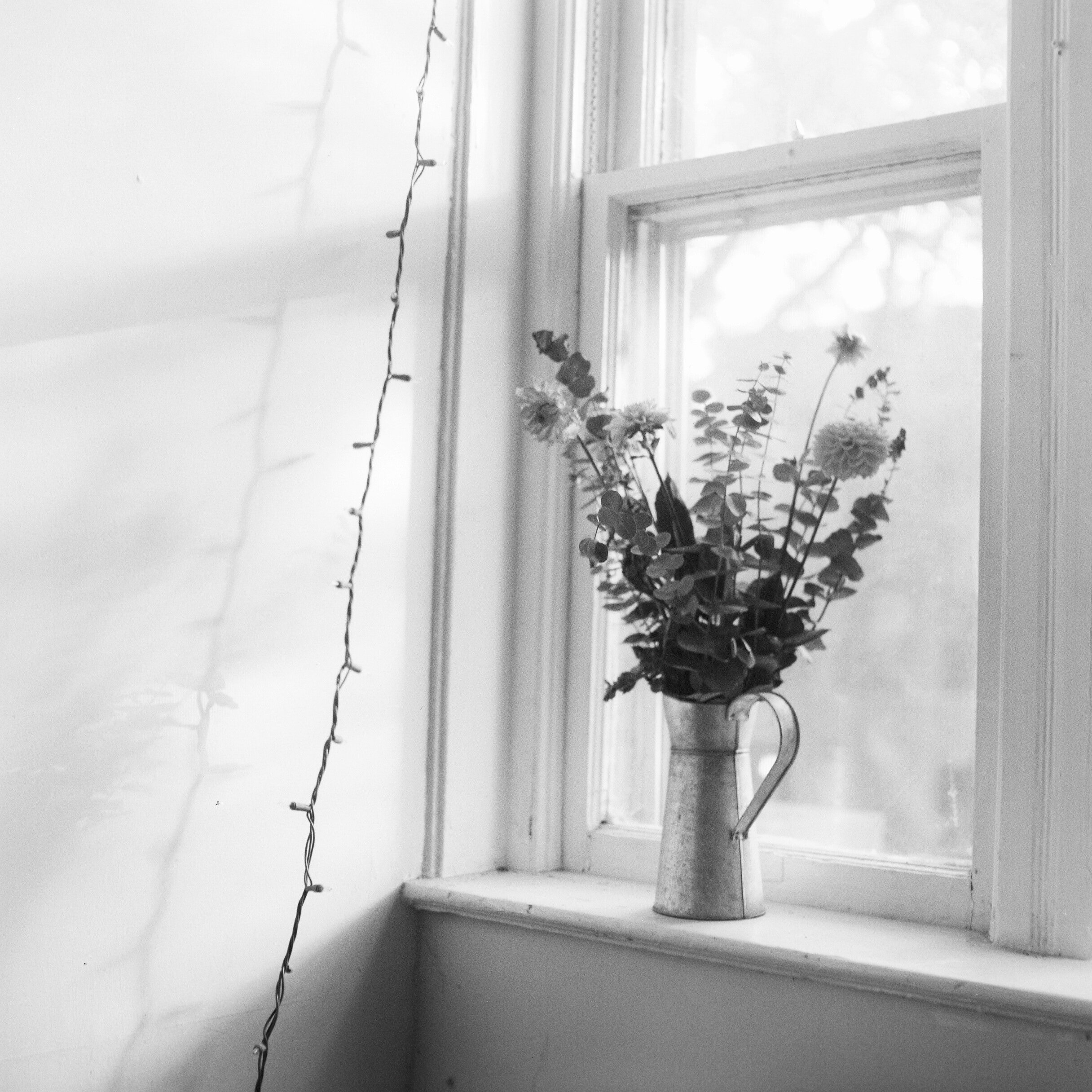 7948BB32-0CAE-474E-A08D-423255749A0C.jpeg