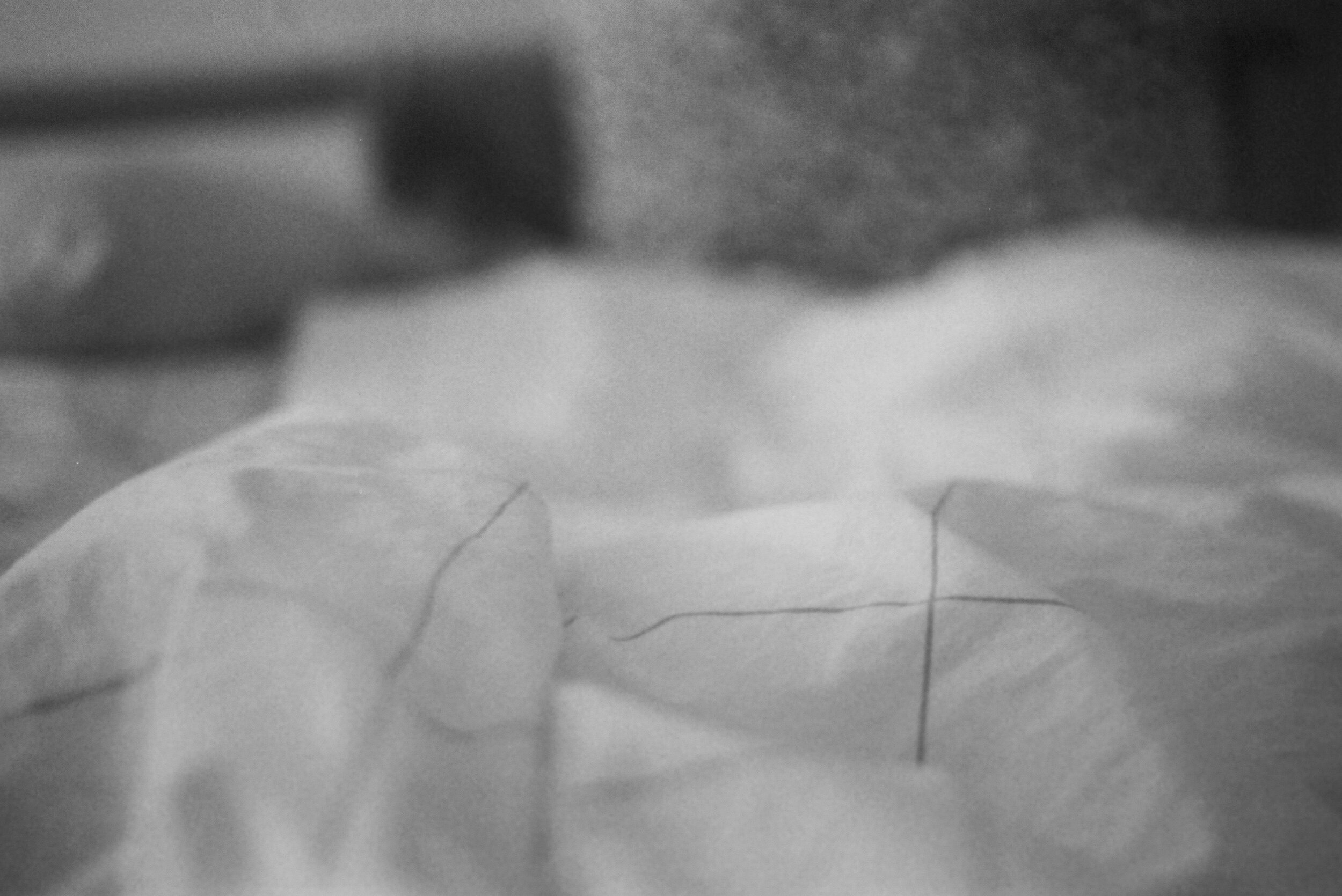 5CE83754-C982-4E56-A54F-A1159EFC0C88.jpeg