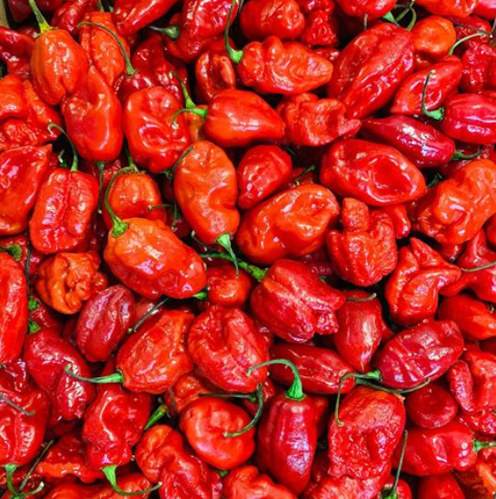 Hot Peppers.png