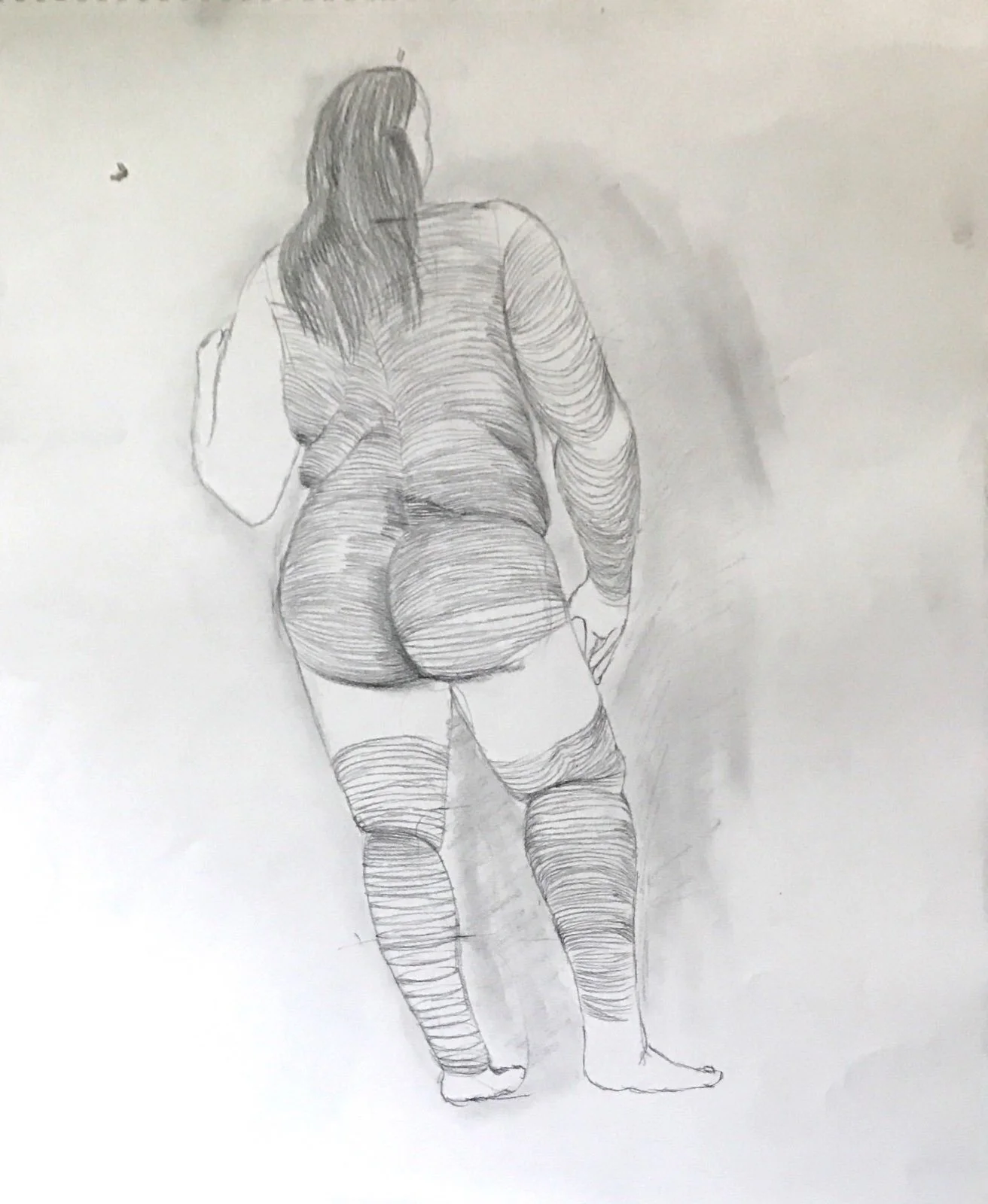 Anatomy & depth visualization ©Aaron Johnson