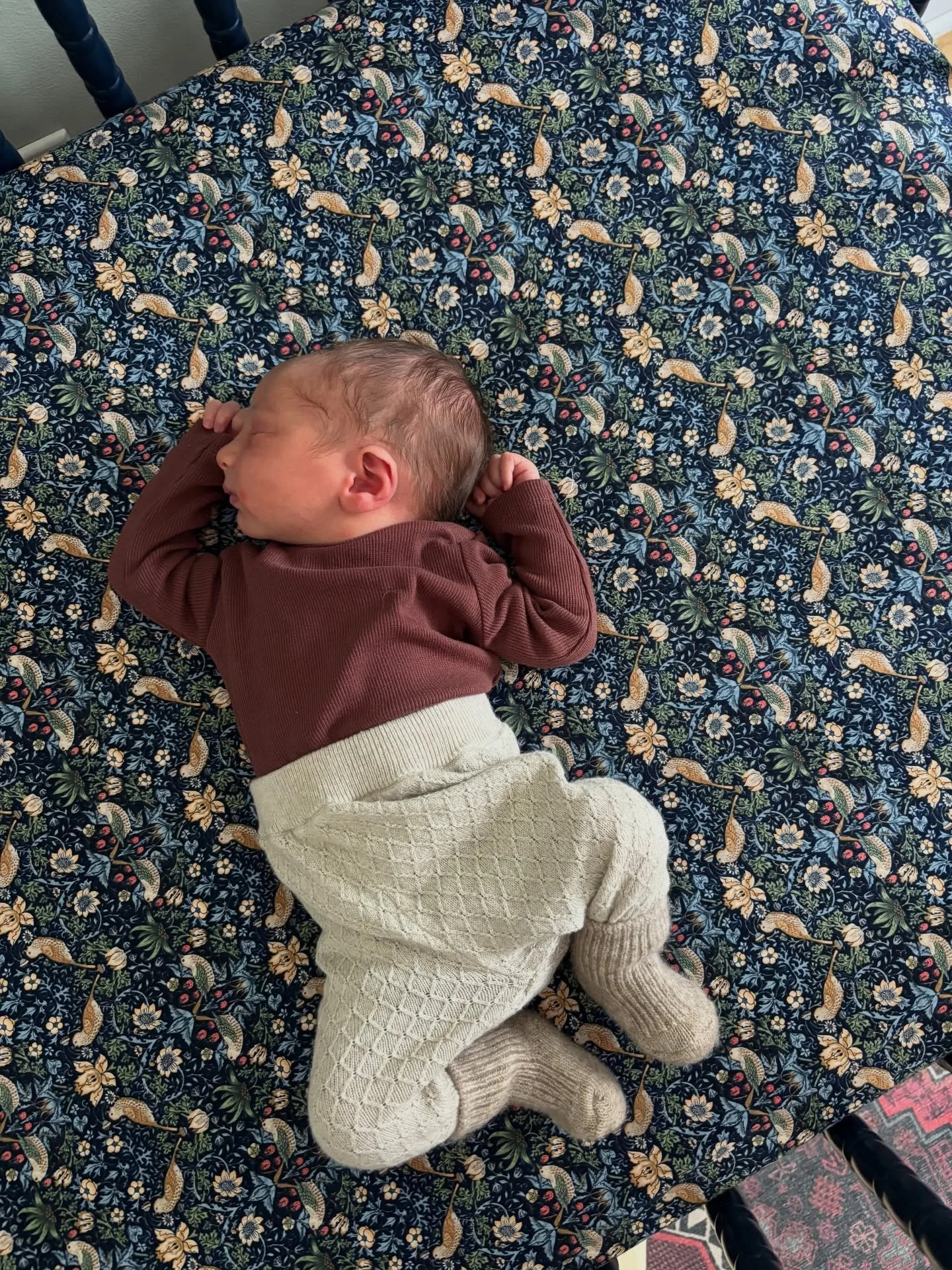 Welcome to the family, Remy 💛💙