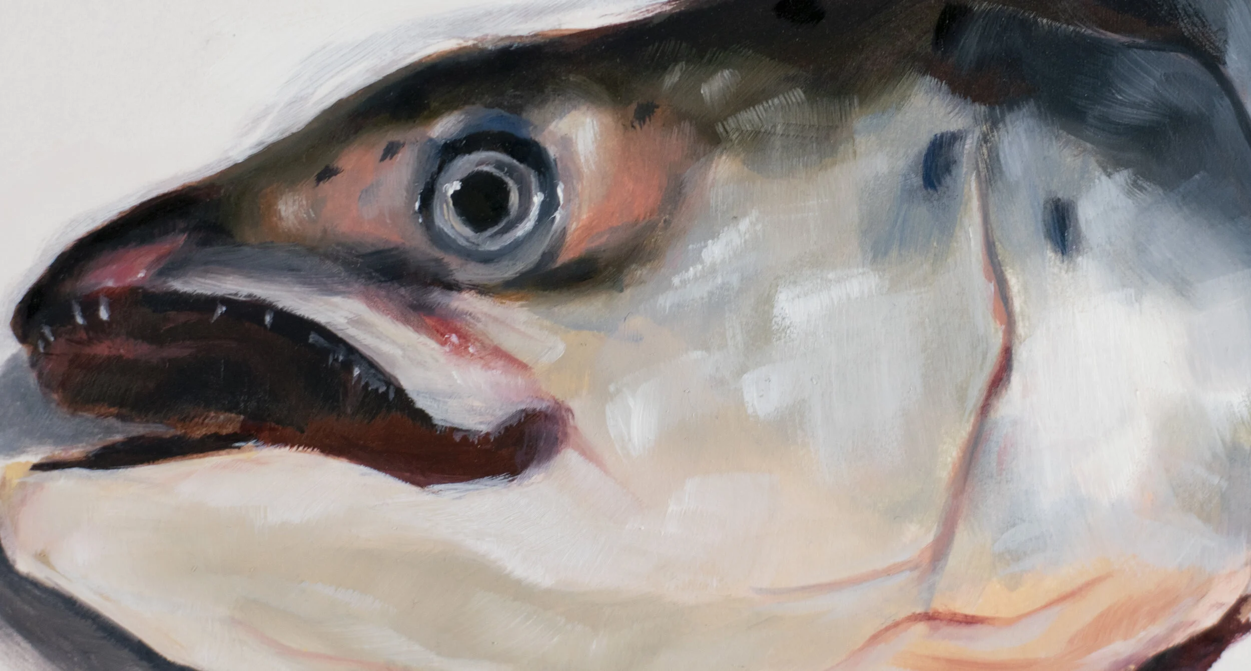  Detalle / Detail 
