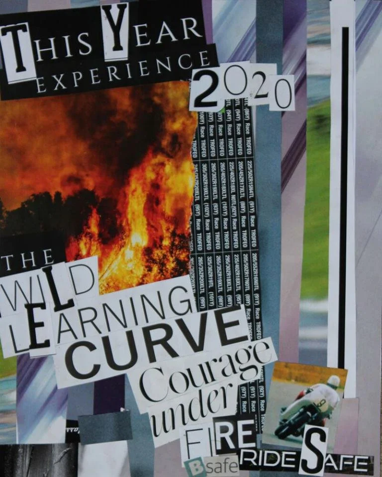 The Year, collage, 2020