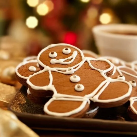 Martha Stewart's Gingerbread Men Cookies — THAT'S LIFE