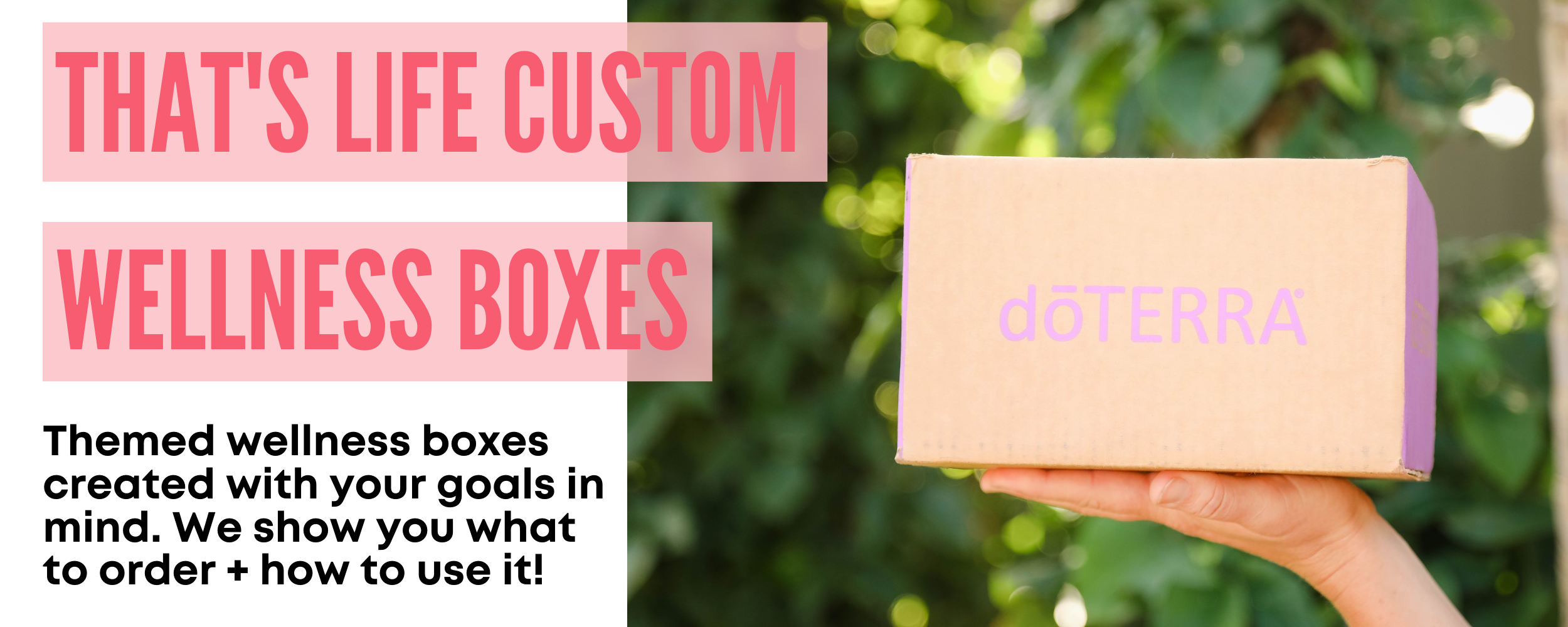 Wellness Boxes — THAT'S LIFE