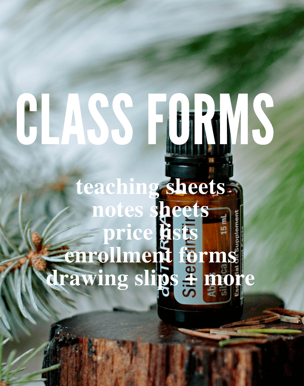 Class Forms