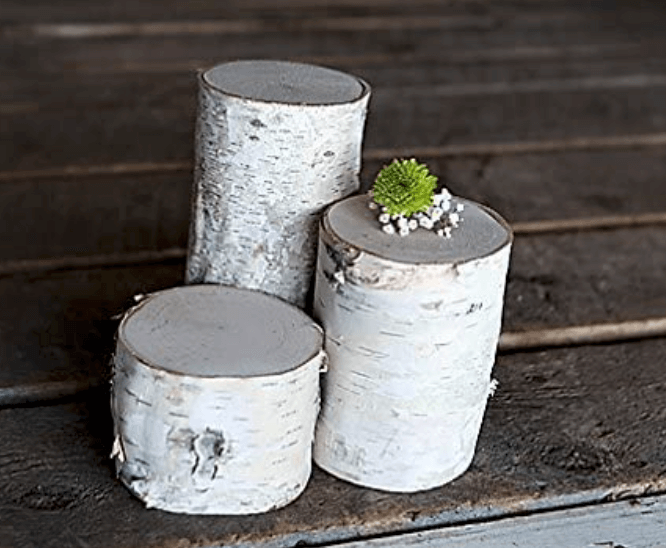 white birch pillars (great for using on entryway table or mantle)