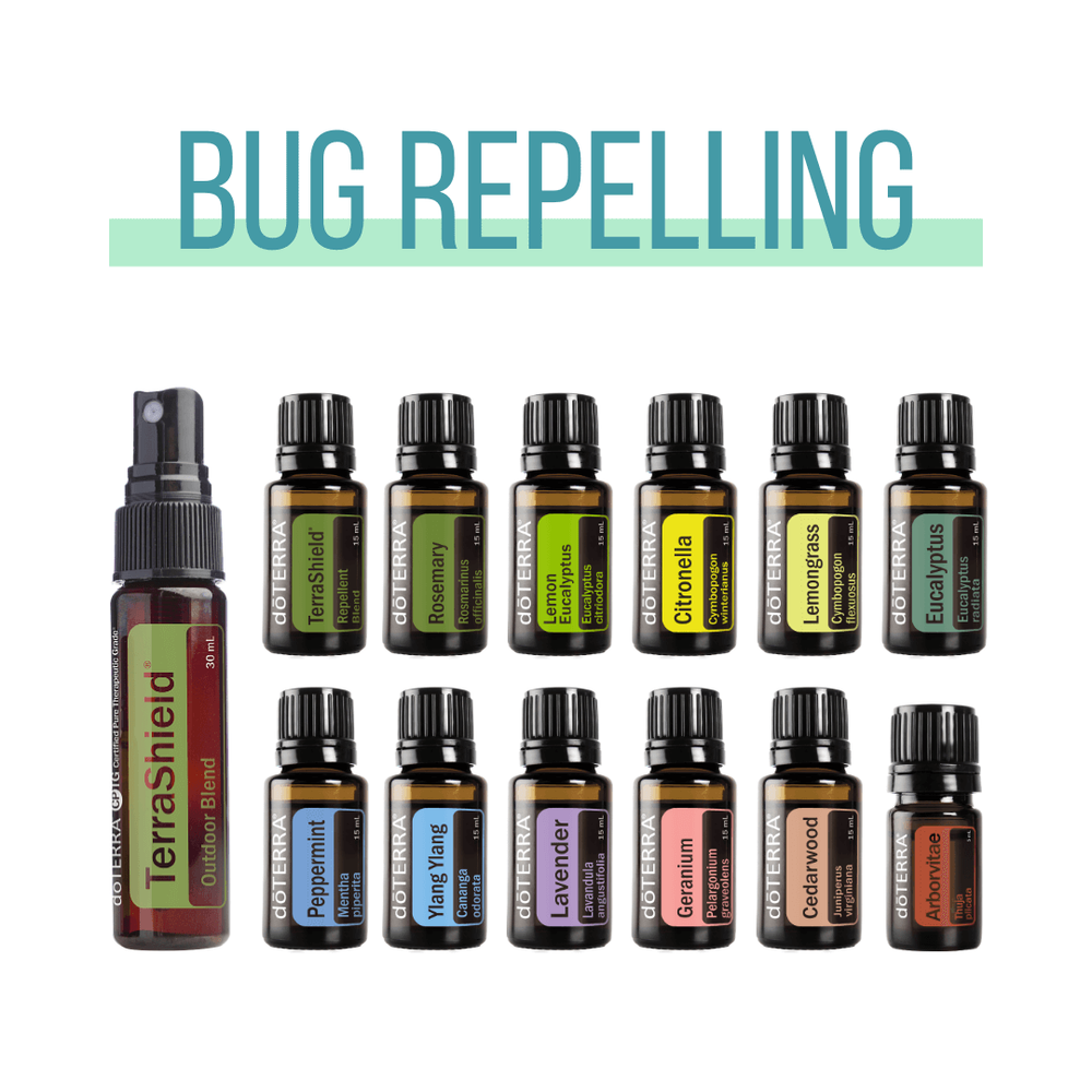Essential Oil Based Insecticides Top Essential Oils for Getting Rid of Bugs and Pests in your Garden and ...