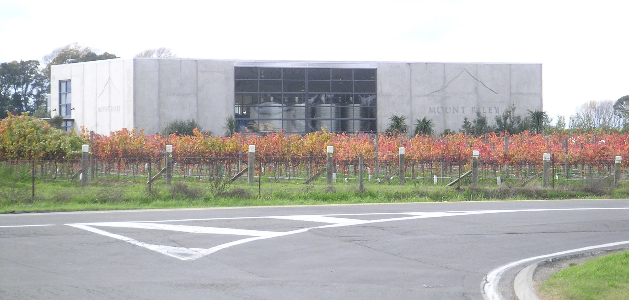 Mt Riley Winery.JPG
