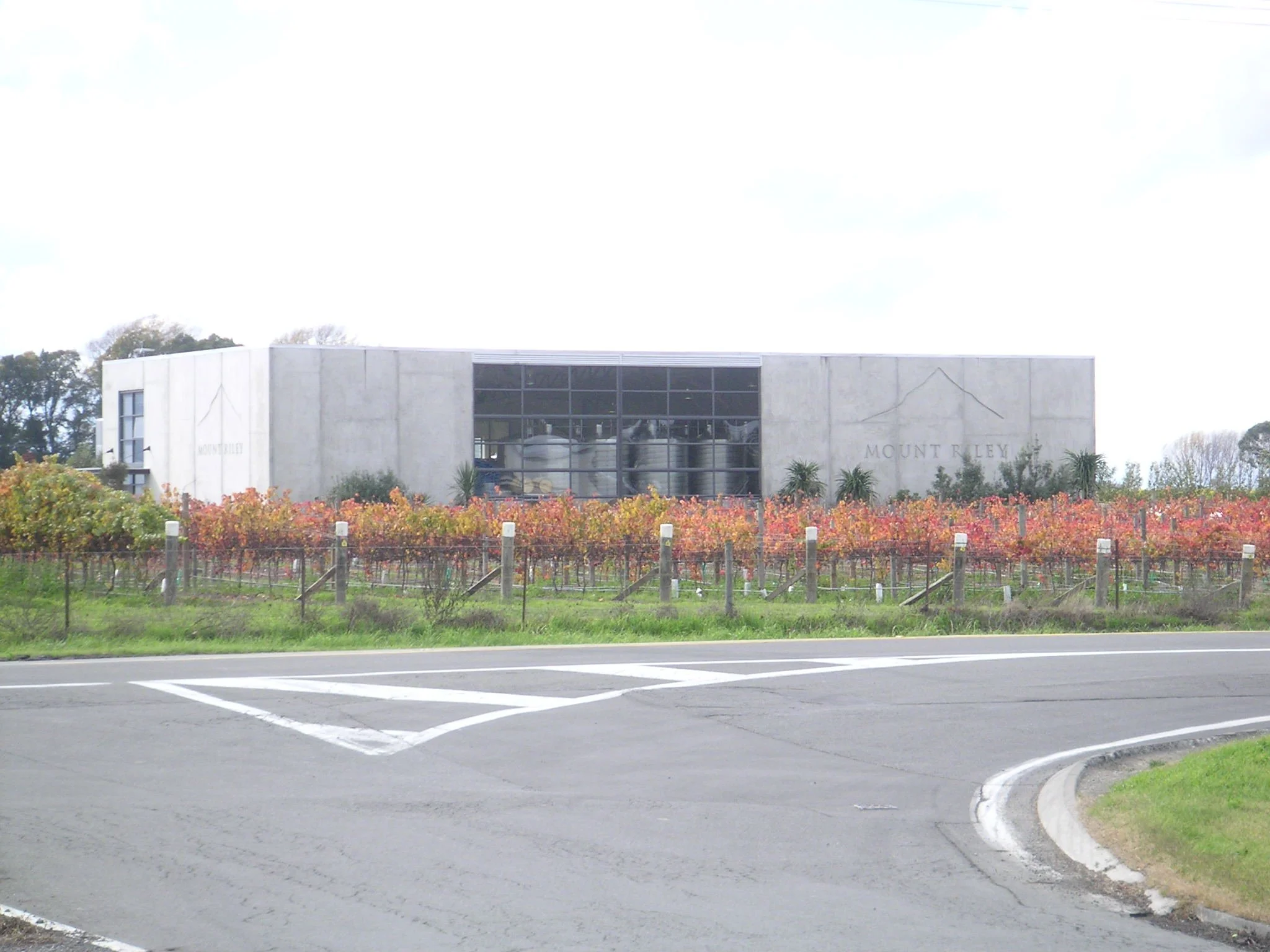 Mt Riley Winery - Copy.JPG