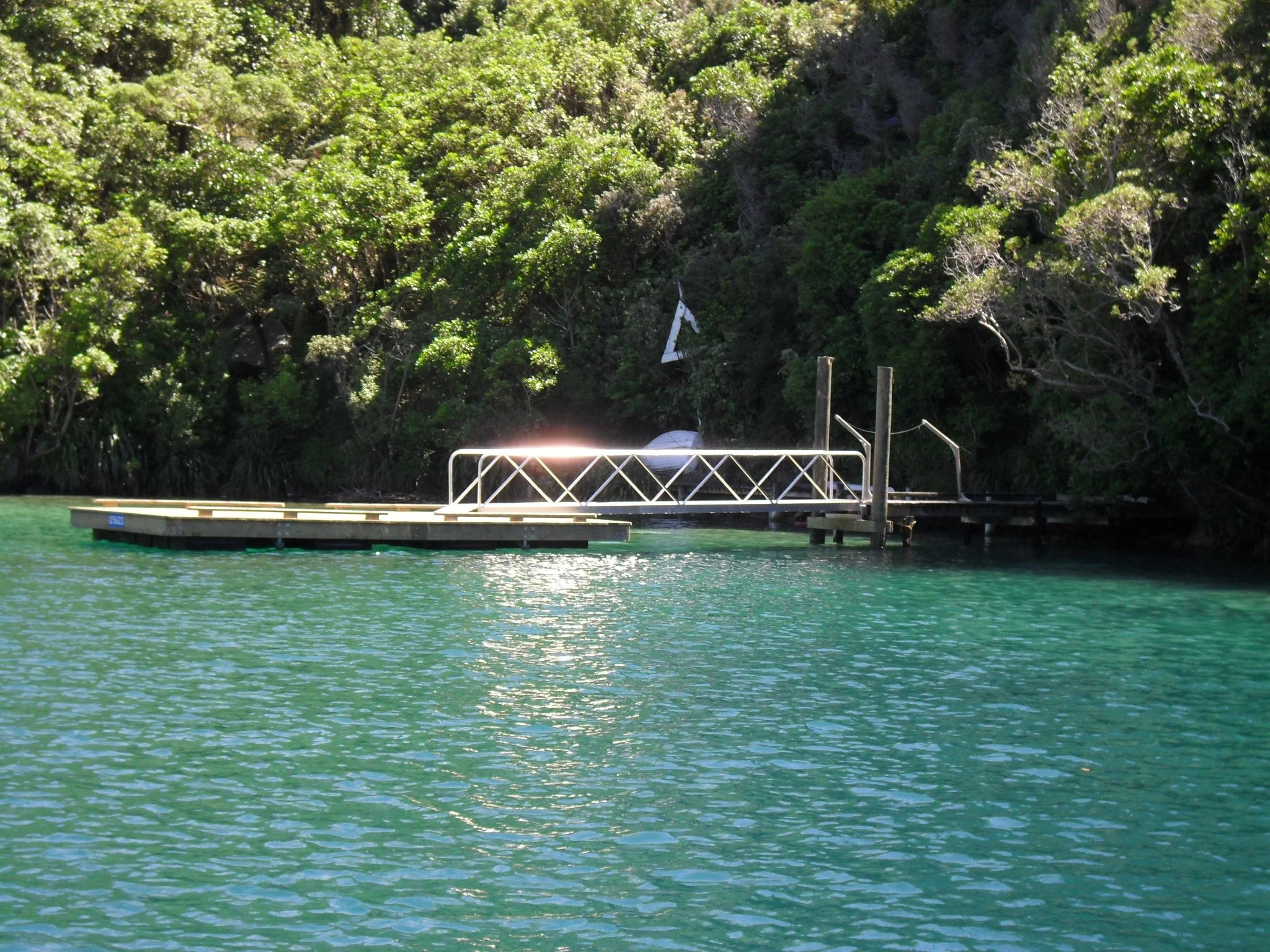 A floating dock on a body of water adjacent to a lush, green, forested shoreline.