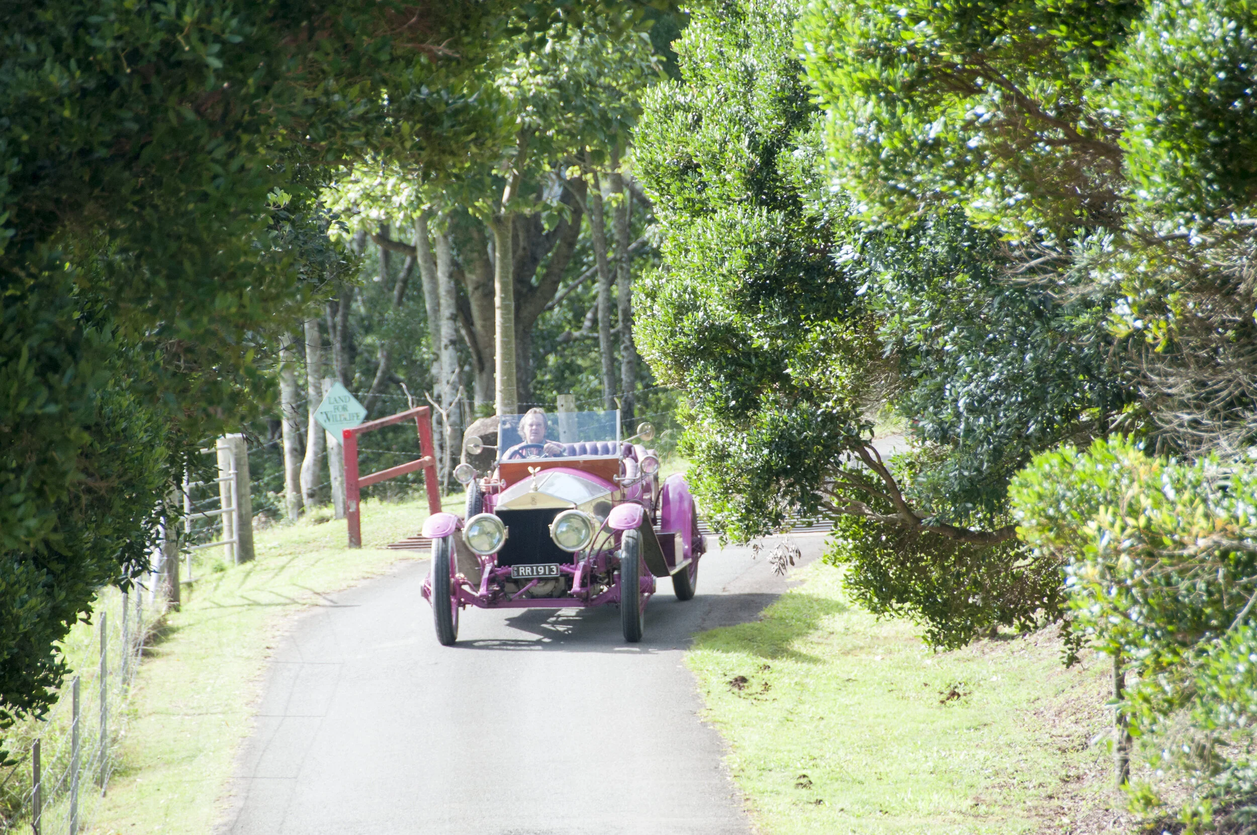 2017 Copyright Brian Carson_123.JPG