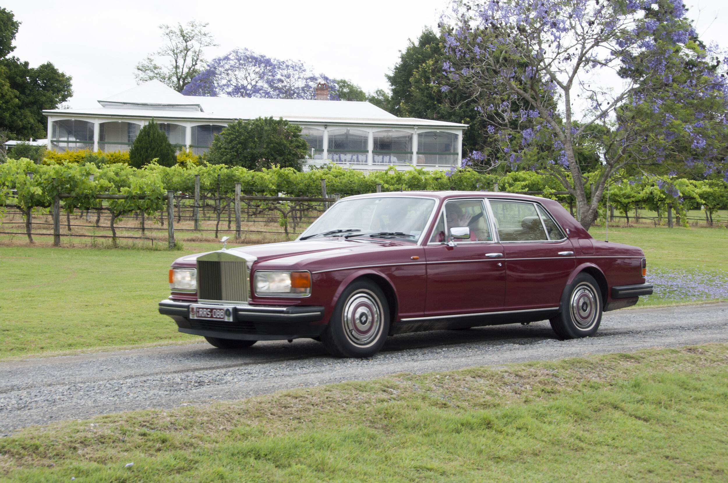 2017 Copyright Brian Carson_221.JPG