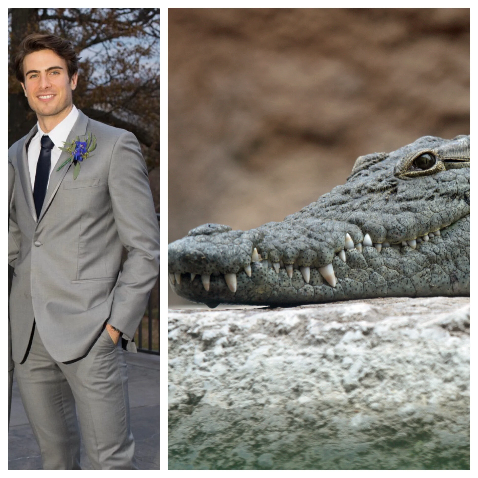 The Day I Became a Croc