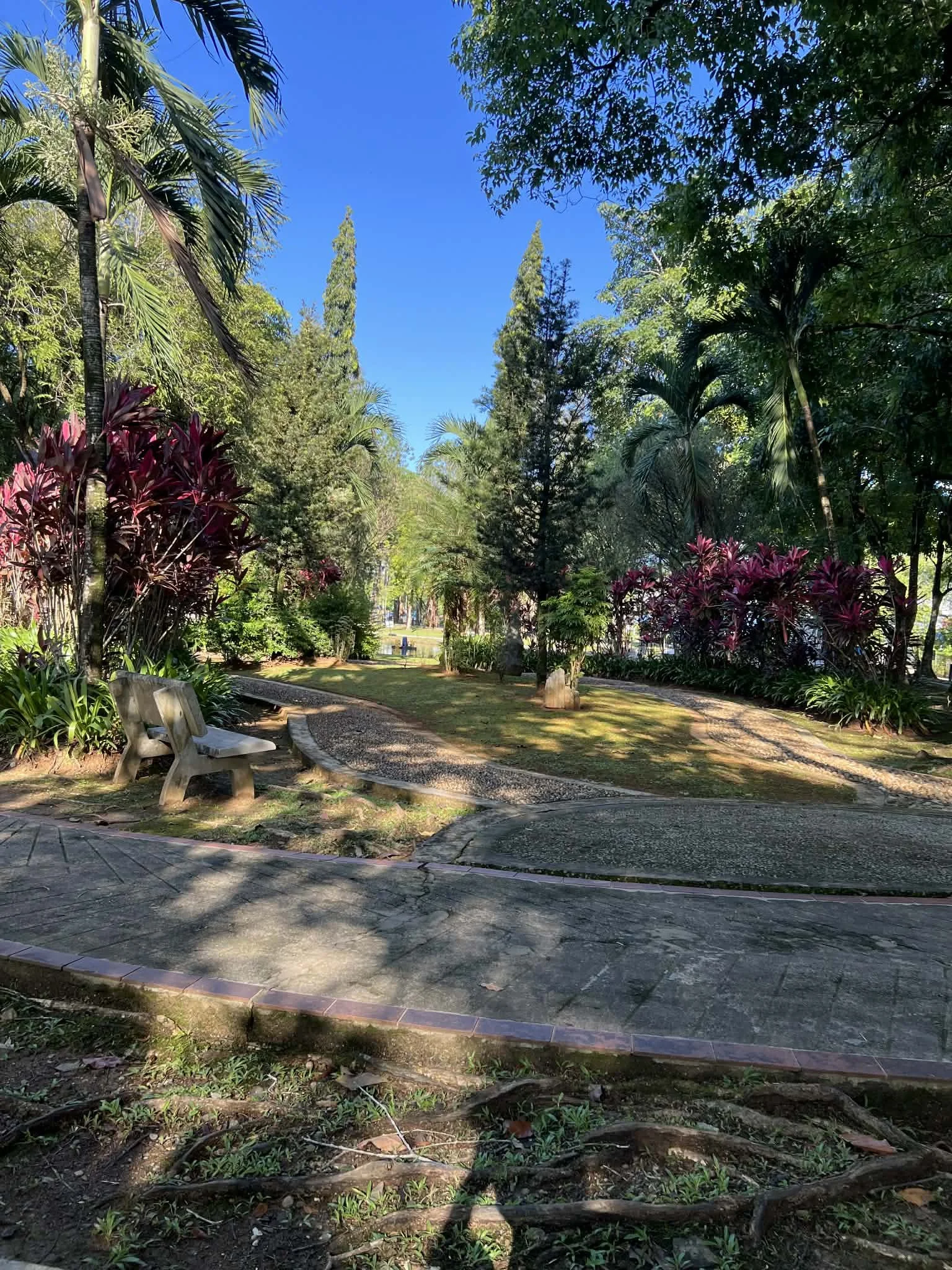 A researcher's rest journal: Nostalgia and Nature