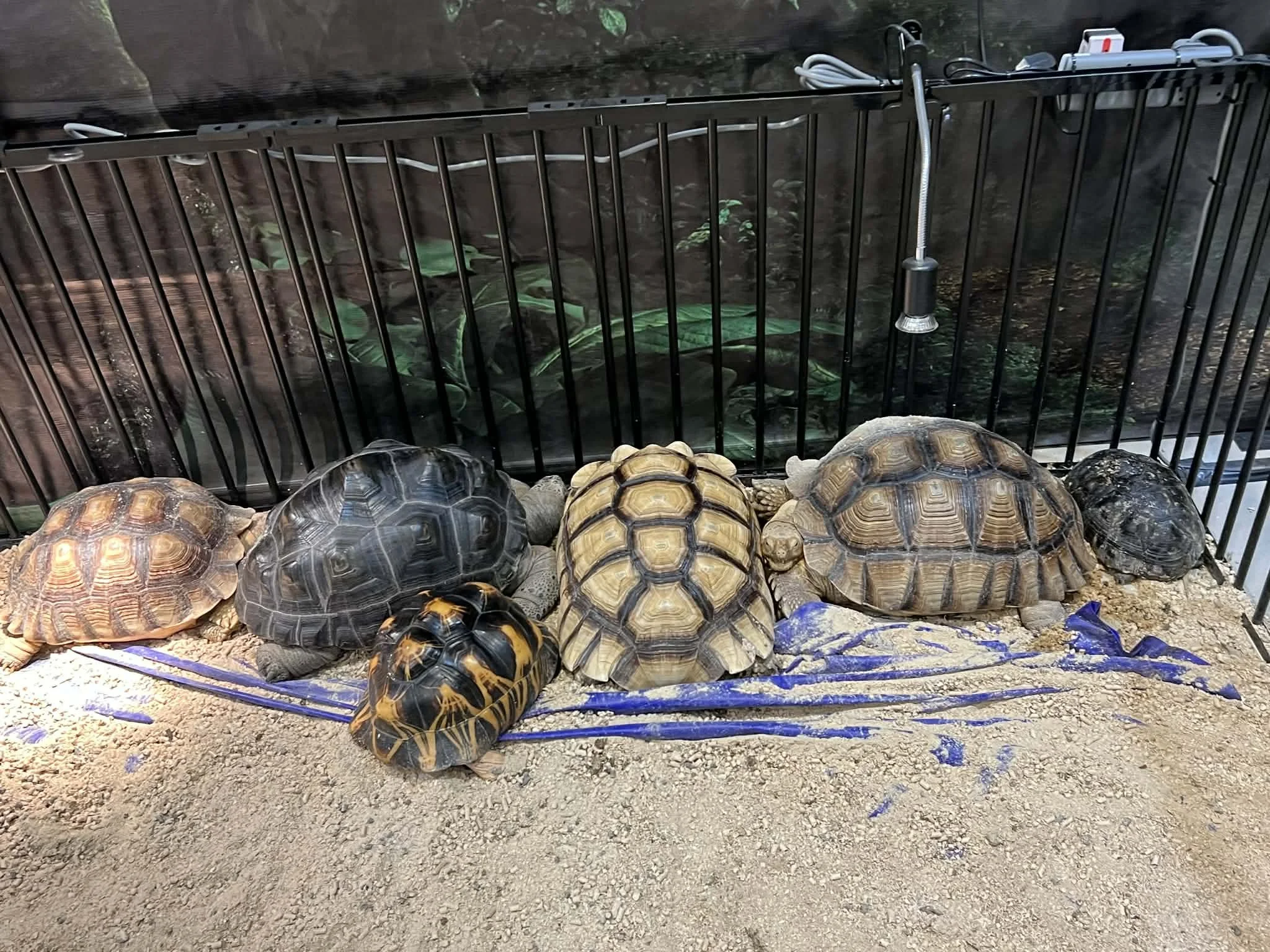 A researcher's rest journal: At your own pace