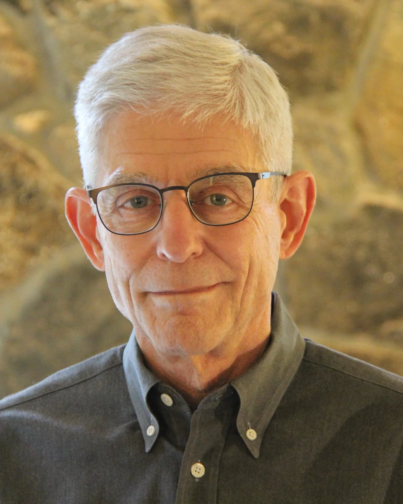 A portrait of an elderly man with gray hair wearing glasses and a dark gray collared shirt, standing against a blurred natural background.