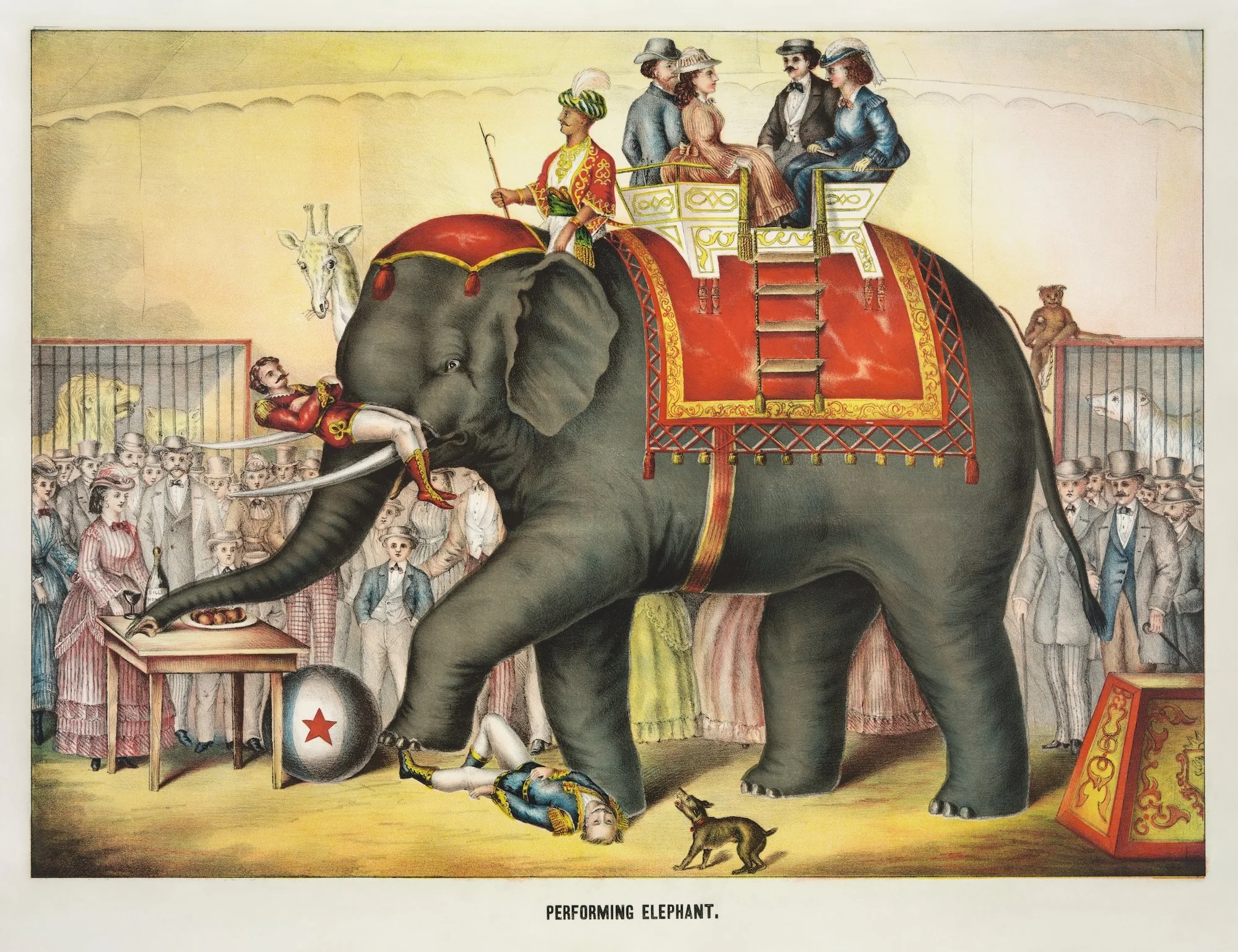Circus Elephant