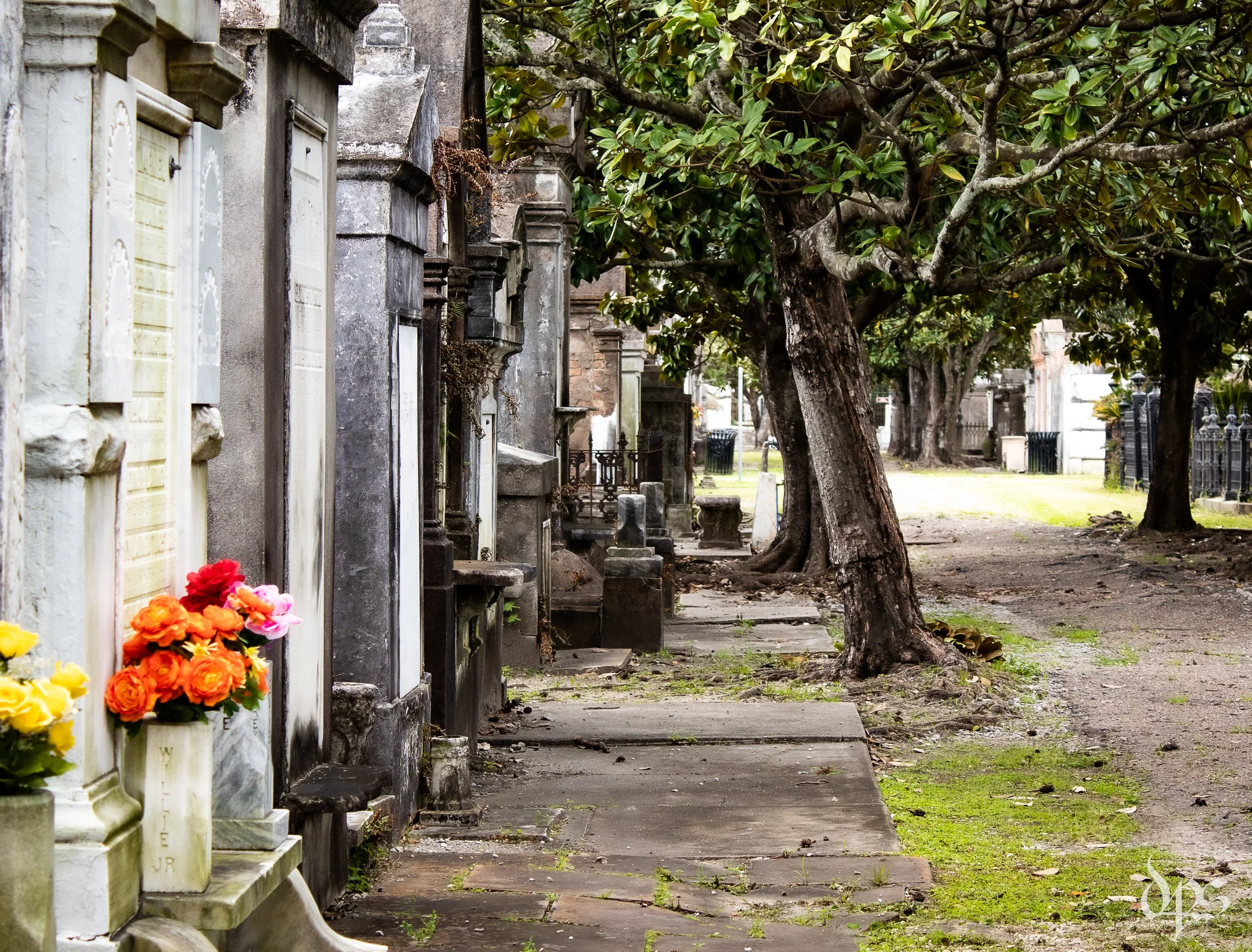 Lafayette Cemetery No. 1 - New Orleans, Louisiana 
