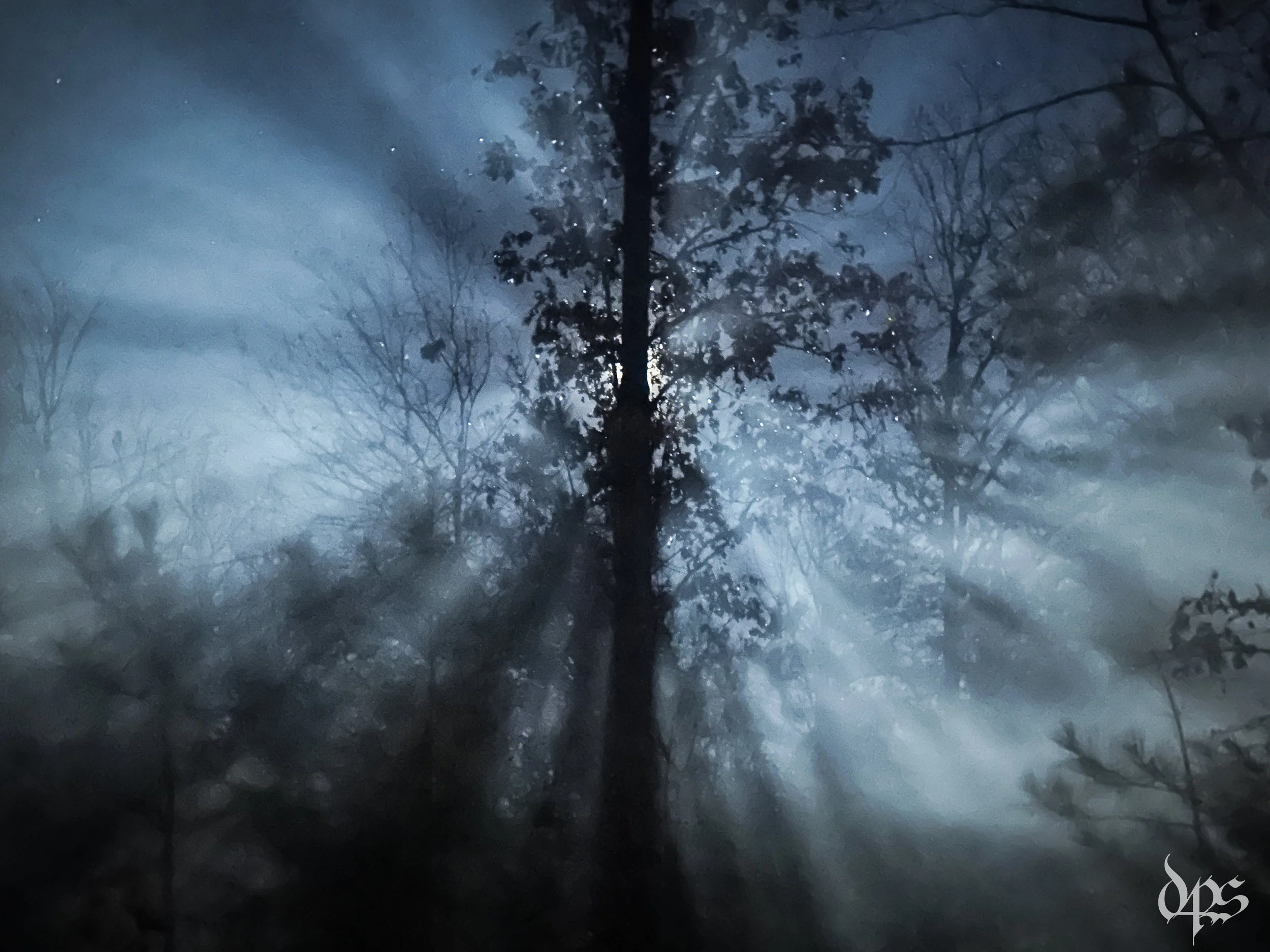 New Years Eve in the woods of Arkansas