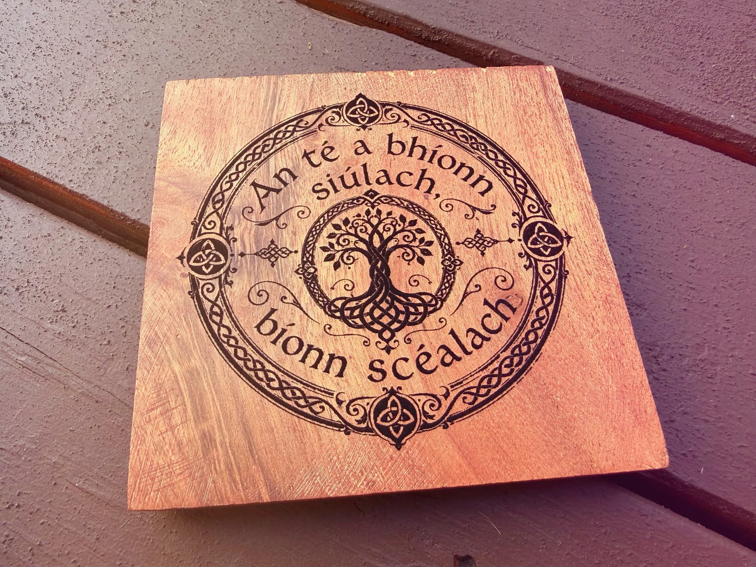 Coaster 1.JPG