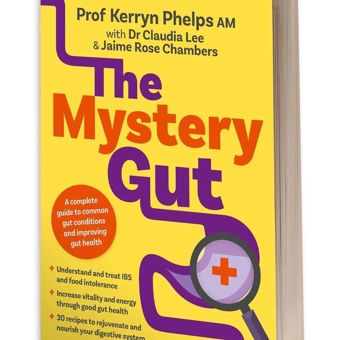 The Mystery Gut-book.JPG
