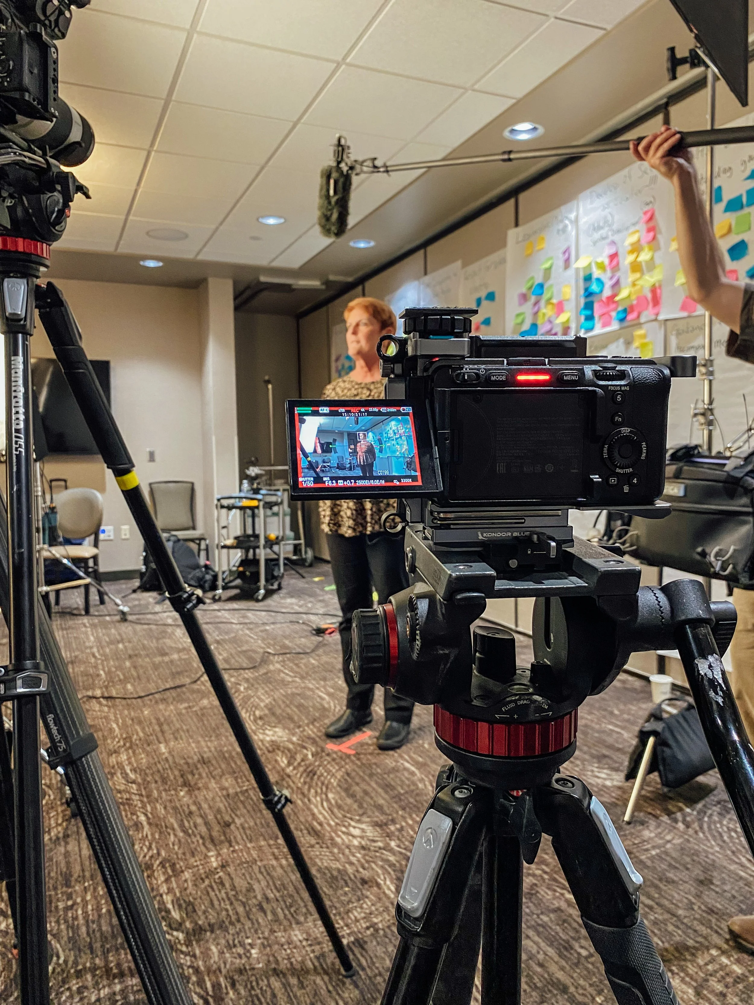 Springtide Research Institute 